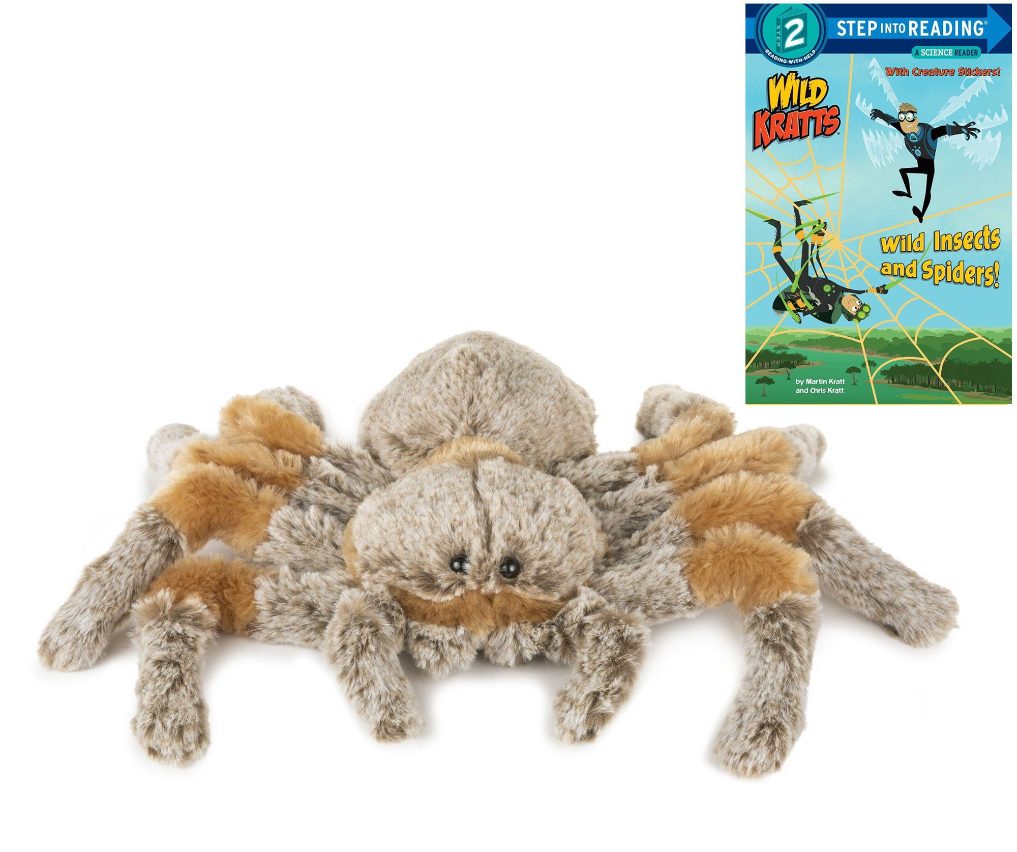 Wallpaper #3PQROpMBKFX8bn3rnHfv249 12 Spider Stuffed Animal with Wild Kratts Book Insects and Spiders