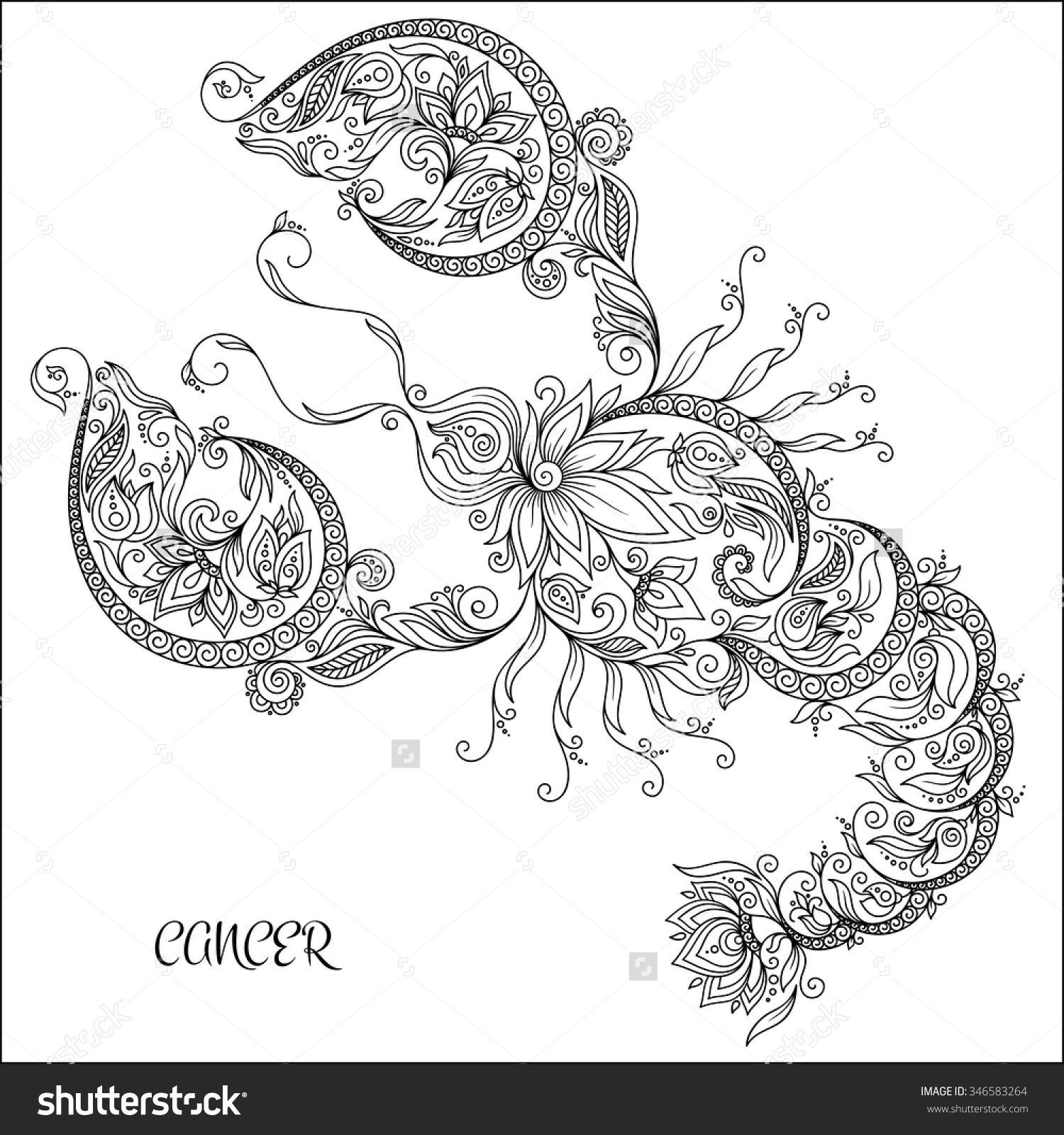 Wallpaper #Tmd395IBSpphPi3-tobx486 Coloring Book Set Adult Coloring Pages Hand Drawn Pattern Vector