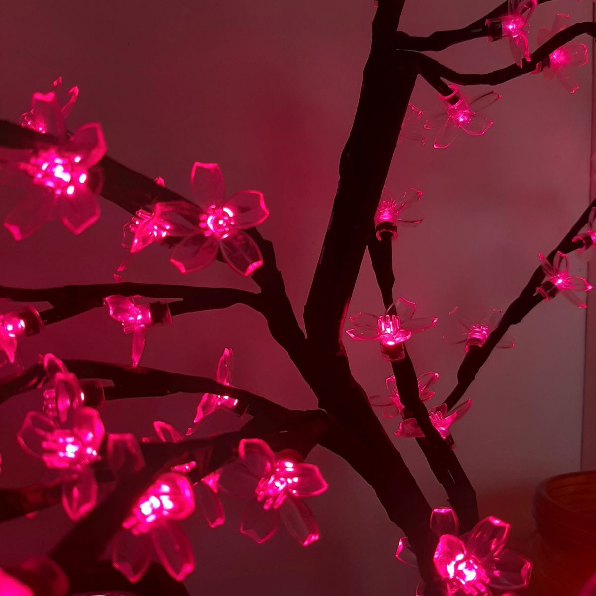 Wallpaper #IupSVZMBlwTYPL18og2A250 Pink Flowers Aesthetic