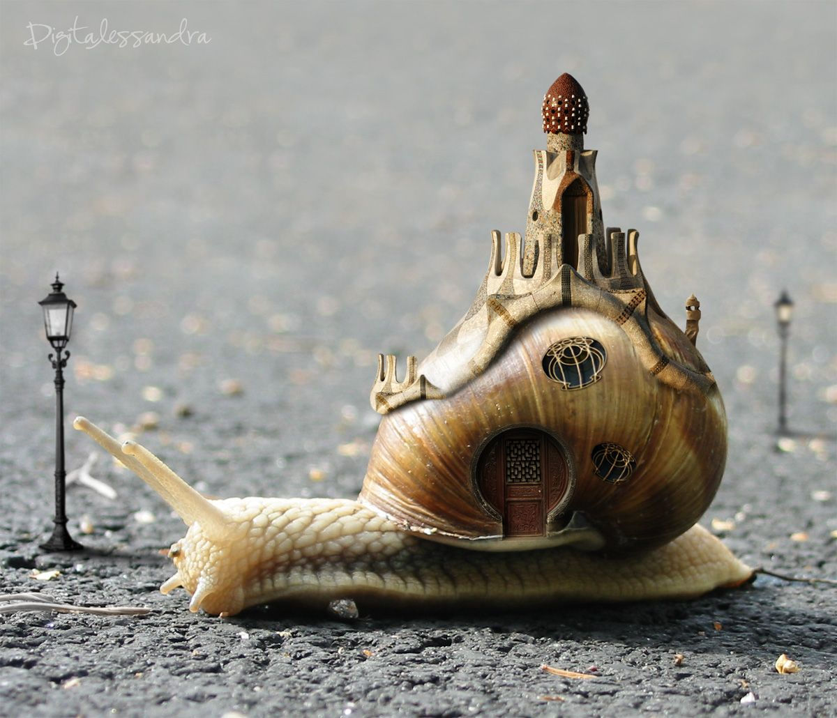 Wallpaper #7DE0NZMB5zzyi_yYk1WD122 The Slow House Trailer by Digitalessandradeviantartcom Snail