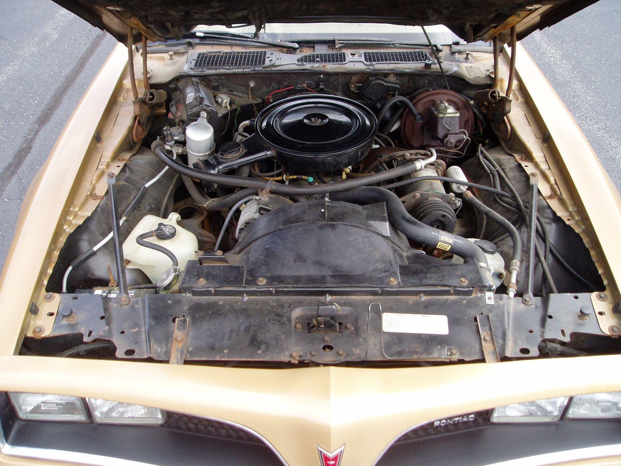 Wallpaper #GGfDBZMBSpphPi3-Wr5E196 305 V8 Engine Pontiac Firebird Pontiac V8 Engine
