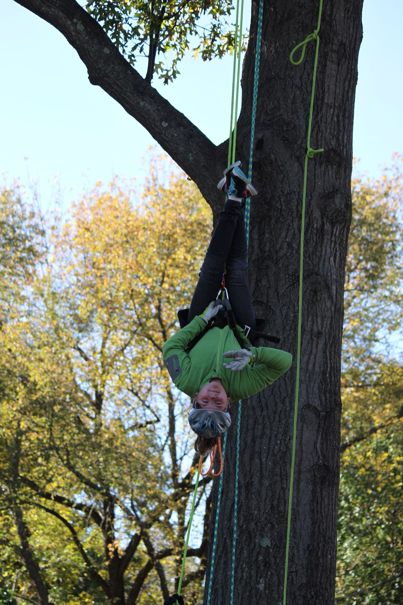 Wallpaper #2mdTDJMBSpphPi3-nt1P418 The Bat Hang Outdoor Education Experience Nature Adventure