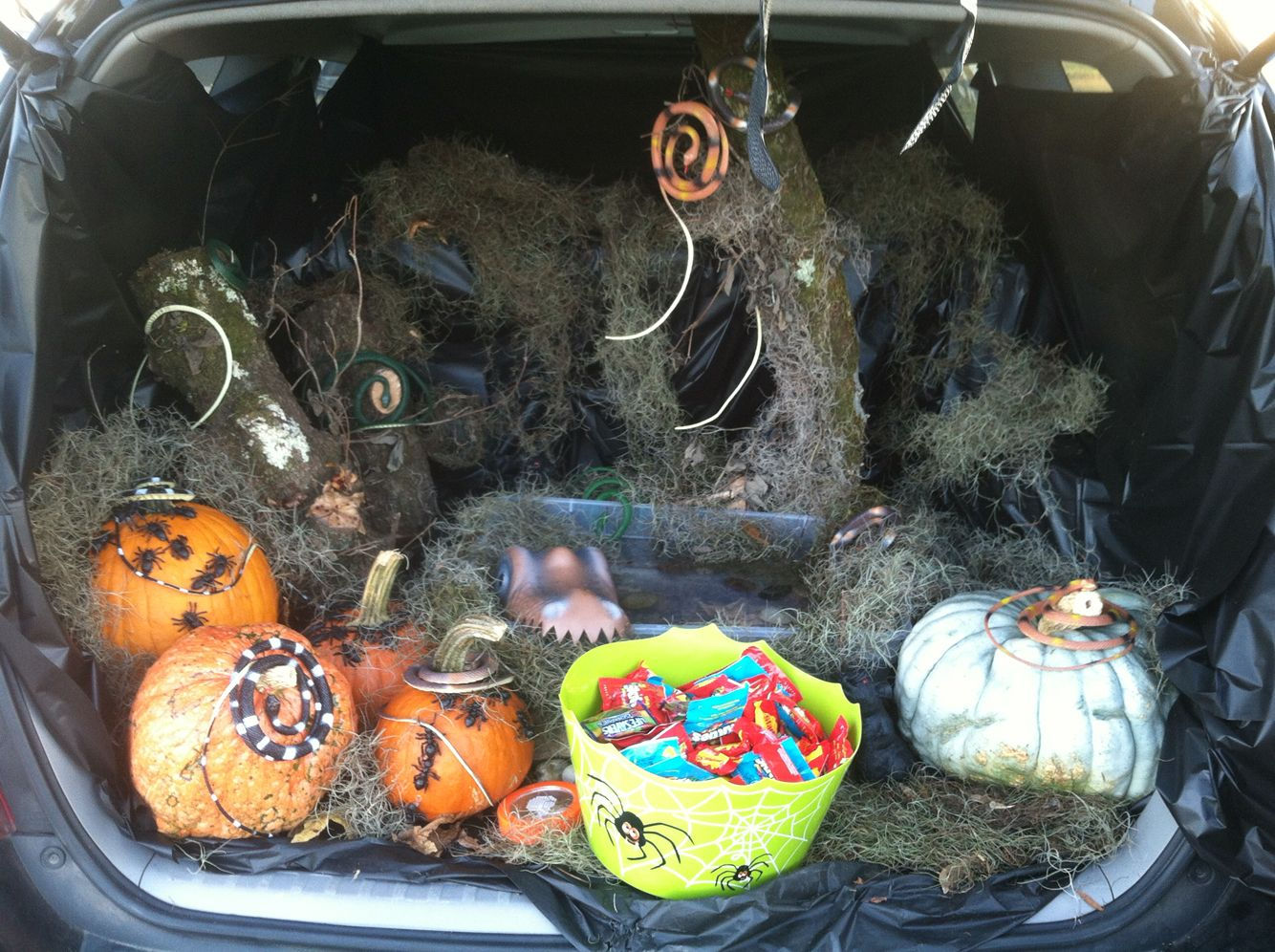 Wallpaper #HfQqOpMBKFX8bn3rhHgw292 Trunk or Treatswamp Used Real Logs and Moss Glued Plastic Spiders