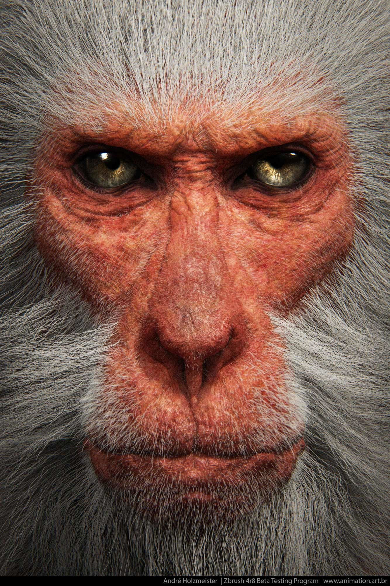 Wallpaper #6FMrNZMBYjRkjcHs2Ogk356 A Close Up of a Monkeys Face with an Intense Look on Its Face