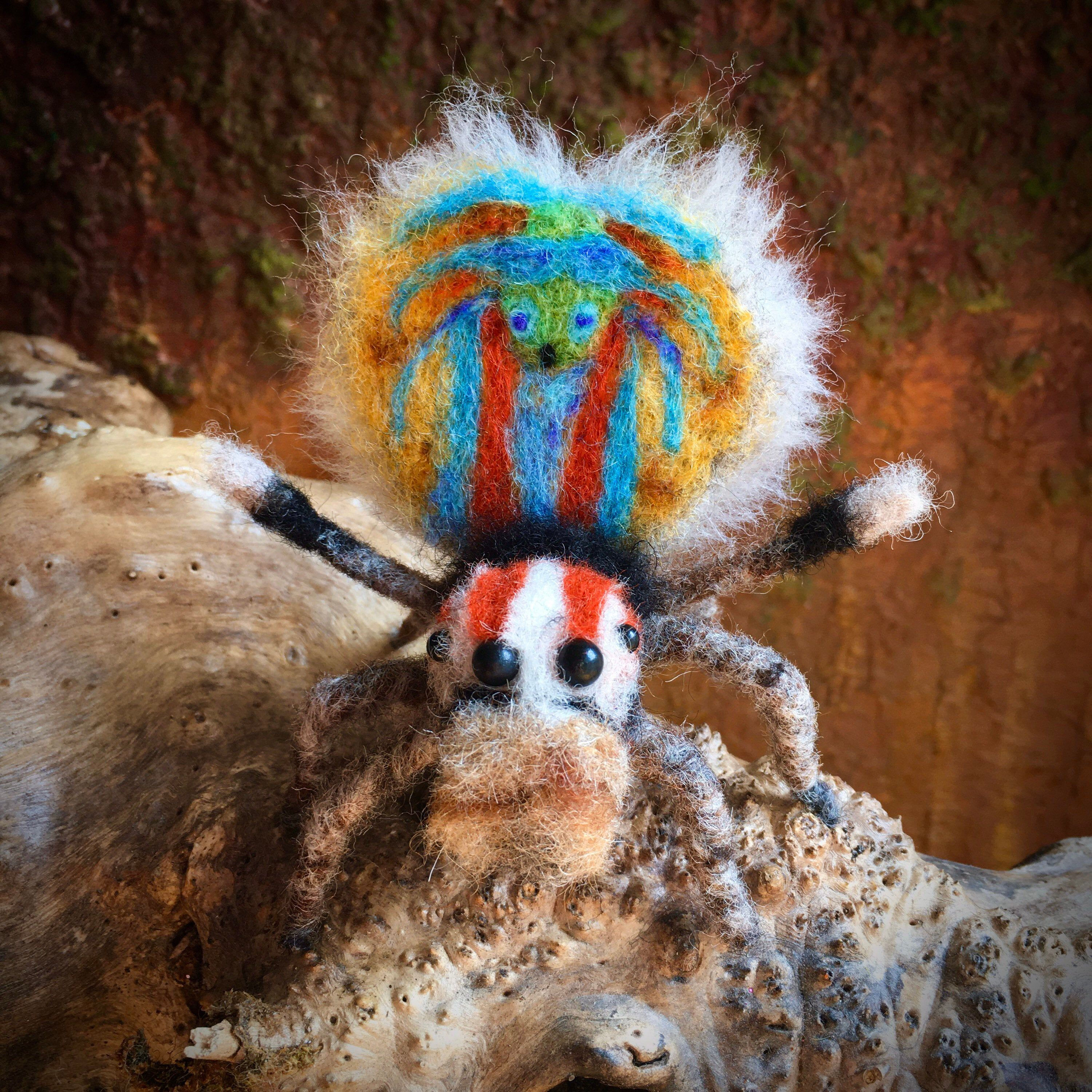 Wallpaper #H_SpOZMBKFX8bn3rSXeg313 Peacock Spider Figurine Halloween Party Decor Wool Felted Etsy