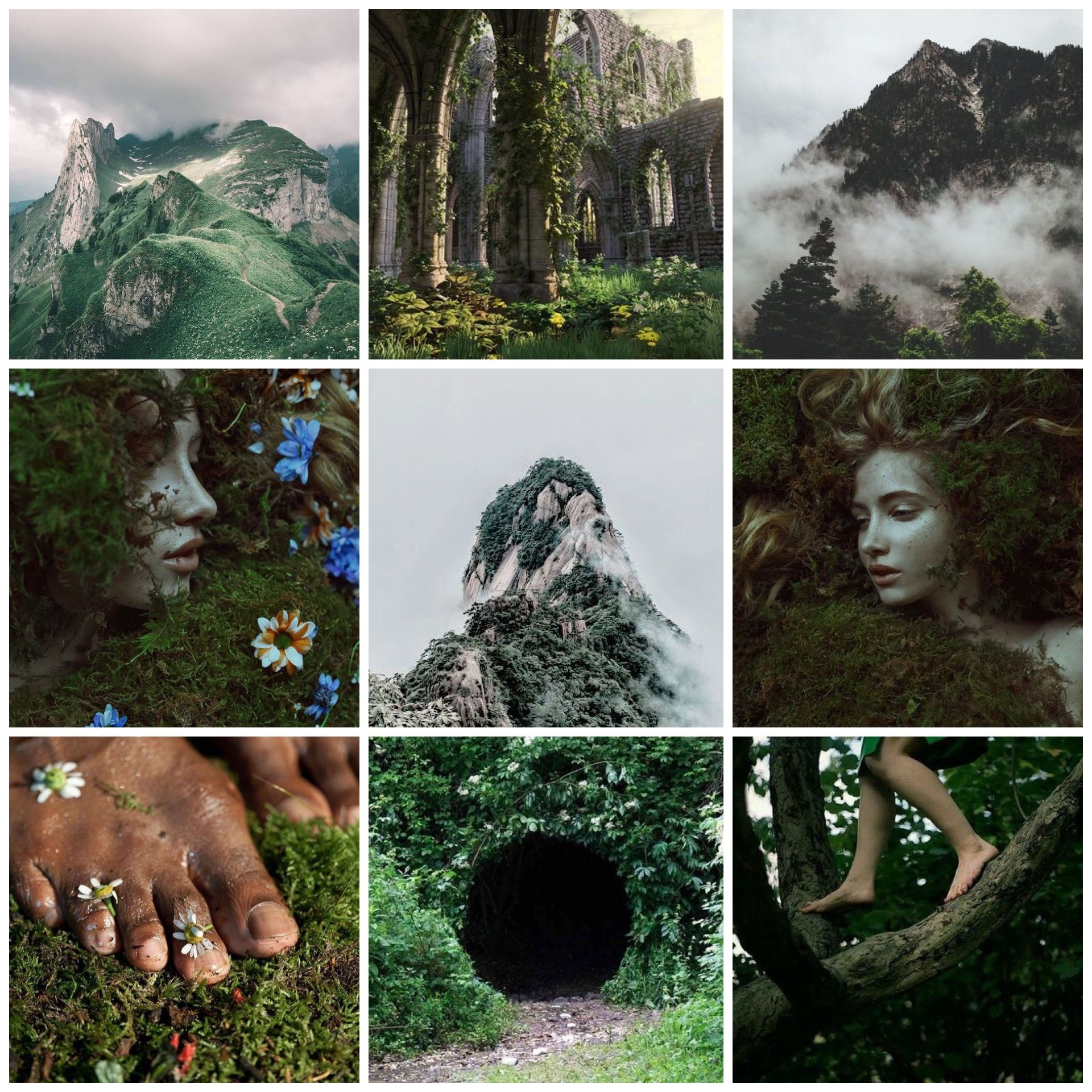 Wallpaper #MWff55IBSpphPi3-fDqn312 Earth Aesthetic Mountains Forest Mother Nature Gaia Elements Mood