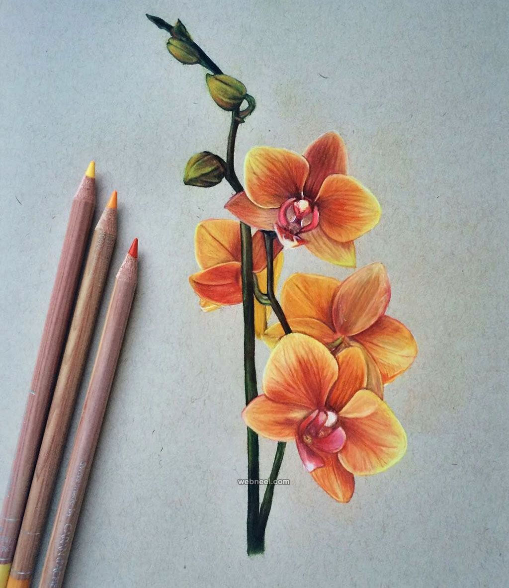 Wallpaper #OBqEUJMB1yWOL4qgwYA7203 Color Drawings of Flowers