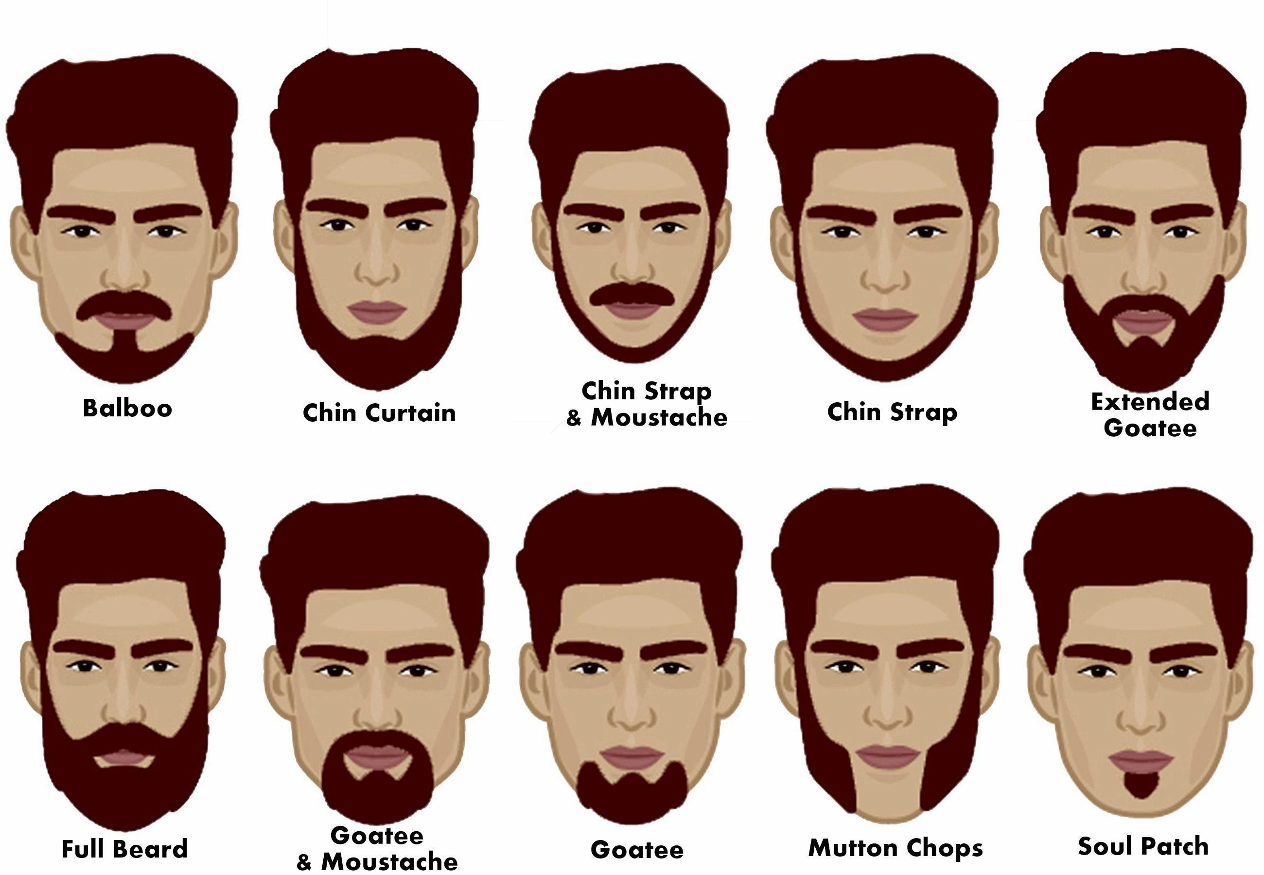 Wallpaper #nWdrAZMBSpphPi3-YapM273 Infographie Sur Les Styles De Barbe Style De Barbe Types De Barbes My