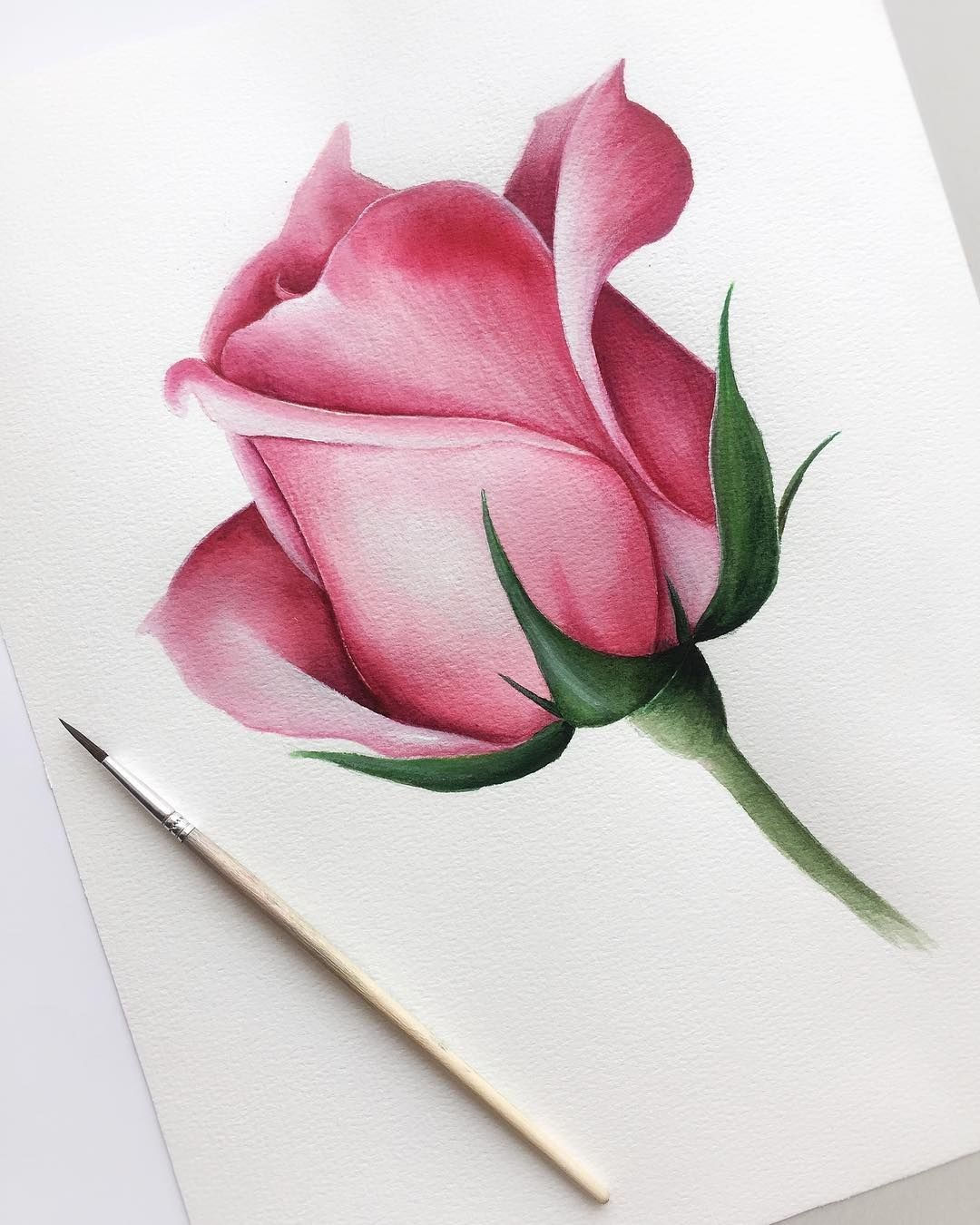 Wallpaper #OBqEUJMB1yWOL4qgwYA7280 Dinnerrecipeshealthy Sites Pencil Drawings of Flowers Realistic