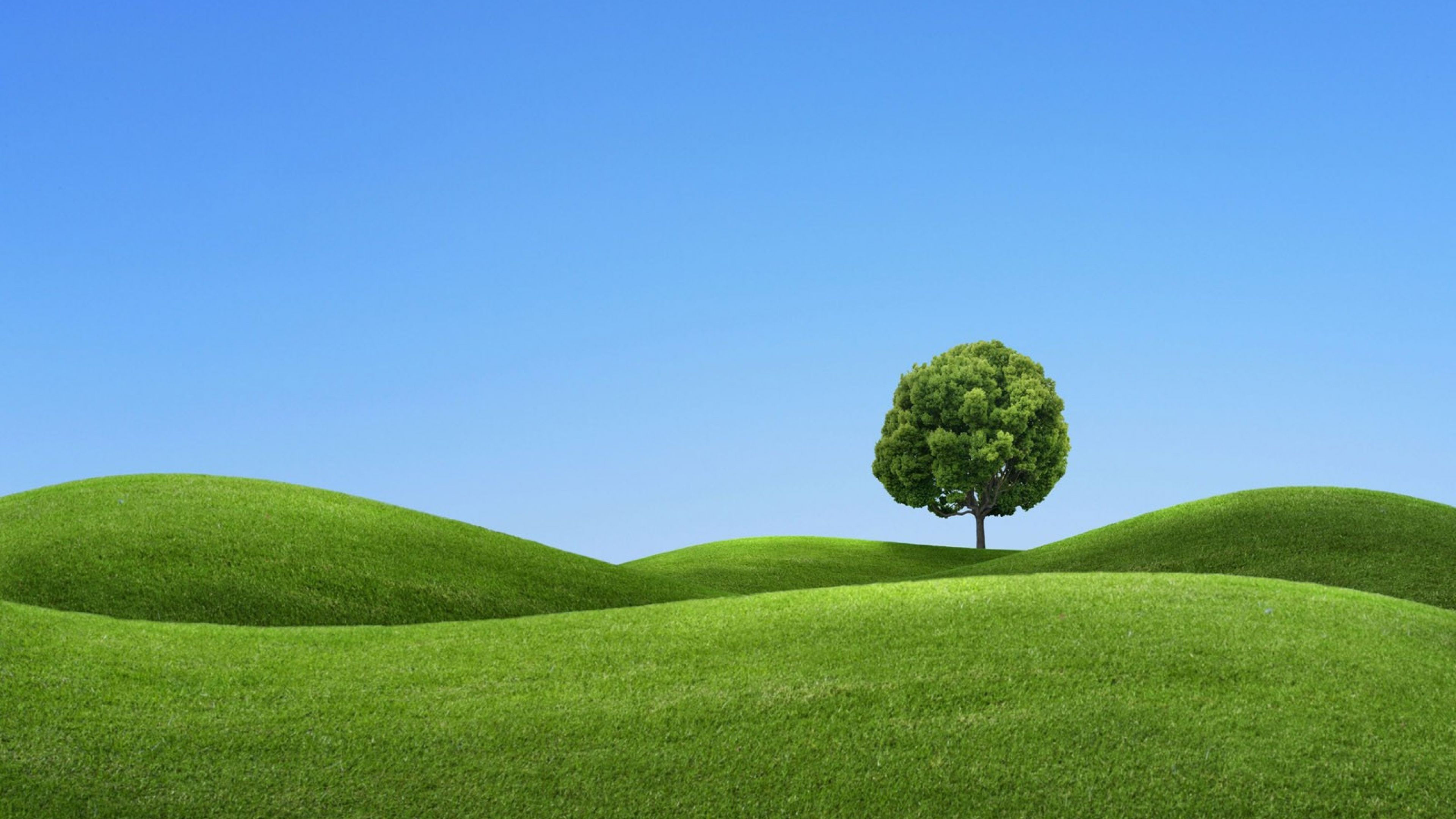 Wallpaper #1W0Na5cBycdYOYFTfHFU157 Green Hills Landscape Image Background in 2020 Garden on a Hill