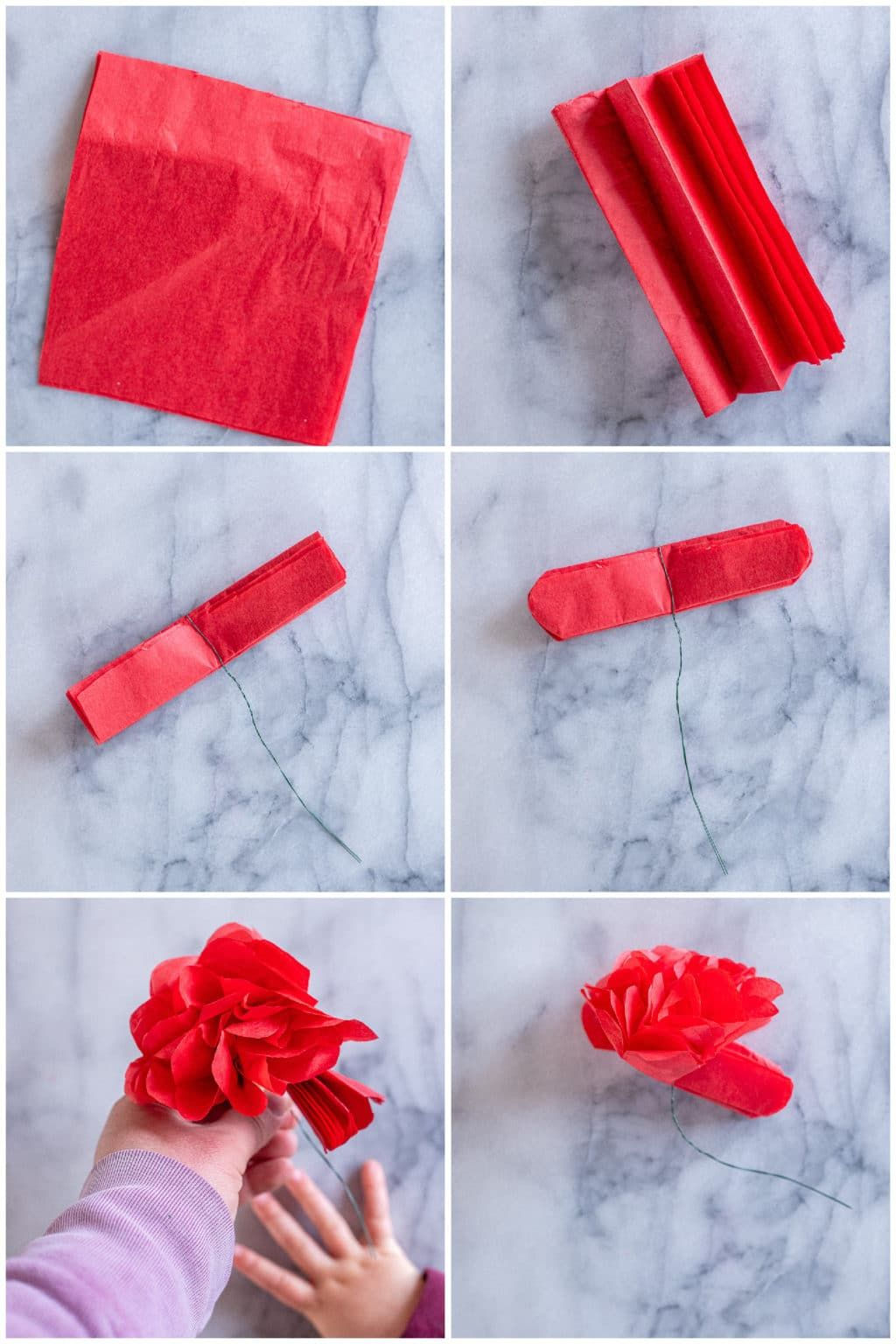 Wallpaper #i2cO9ZIBSpphPi3-vn0v416 Step by Step Instructions on How to Make Tissue Paper Flowers