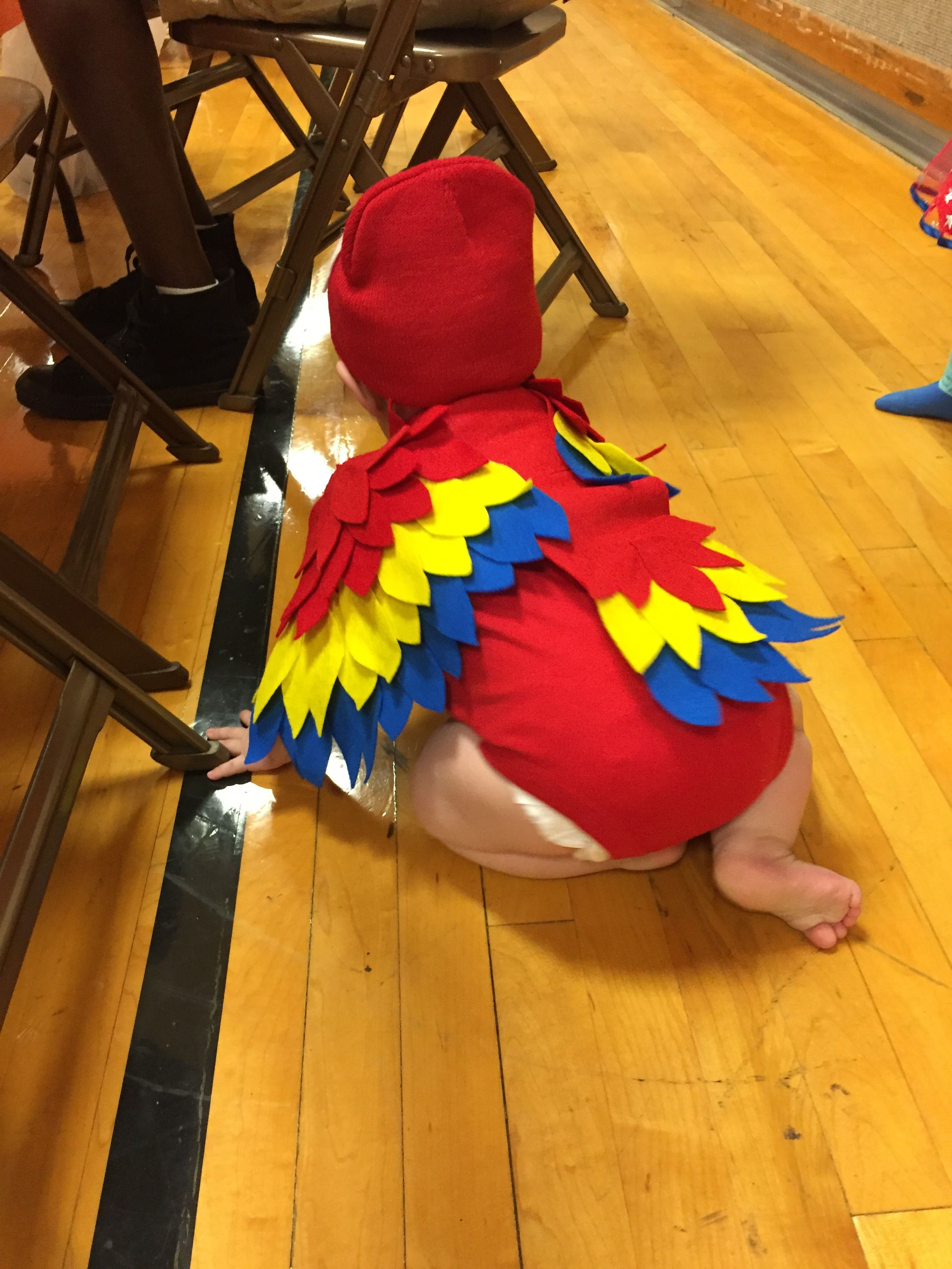 Wallpaper #9mdFCpMBSpphPi3-NNO0440 Babys Parrot Halloween Costume Sgarcia88 Baby Parrot Costume Mary