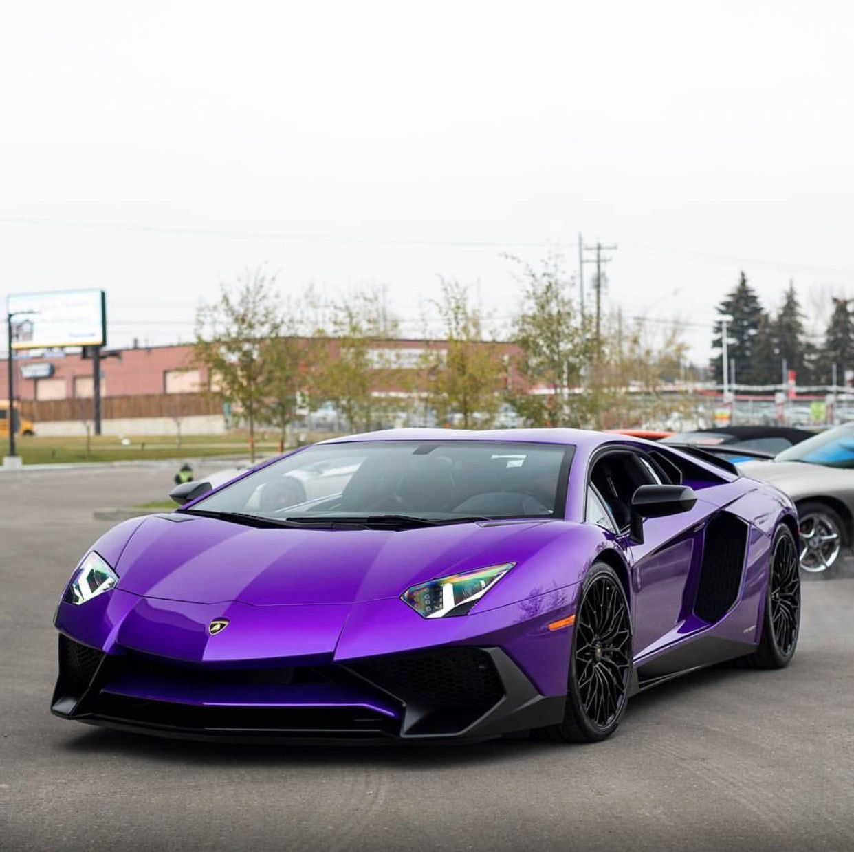 Wallpaper #7XOPg44BFI5NbQksGRrm47 Lamborghini Aventador Super Veloce Coupe Painted in Viola Parsifae