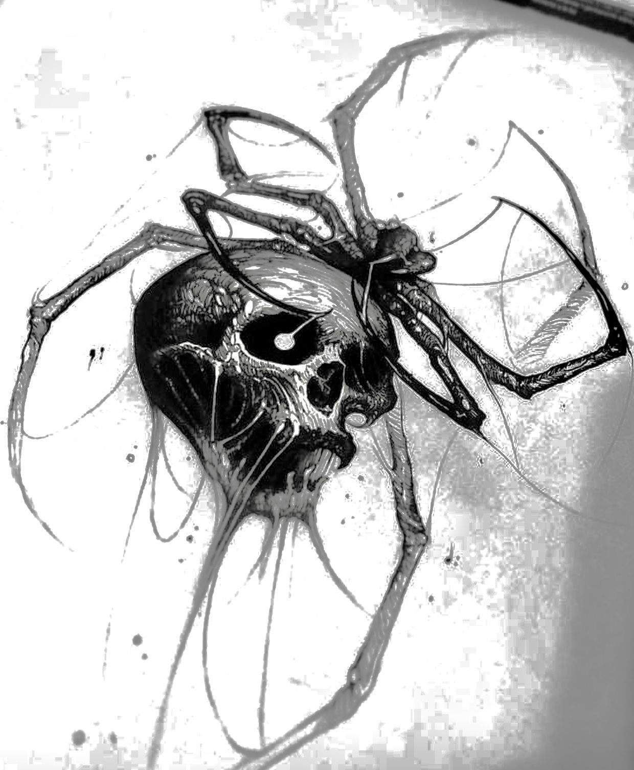Wallpaper #9mdFCpMBSpphPi3-NNO0224 Pin by Derald Hallem on Skull Art Spider Tattoo Dark Tattoo Spider Art
