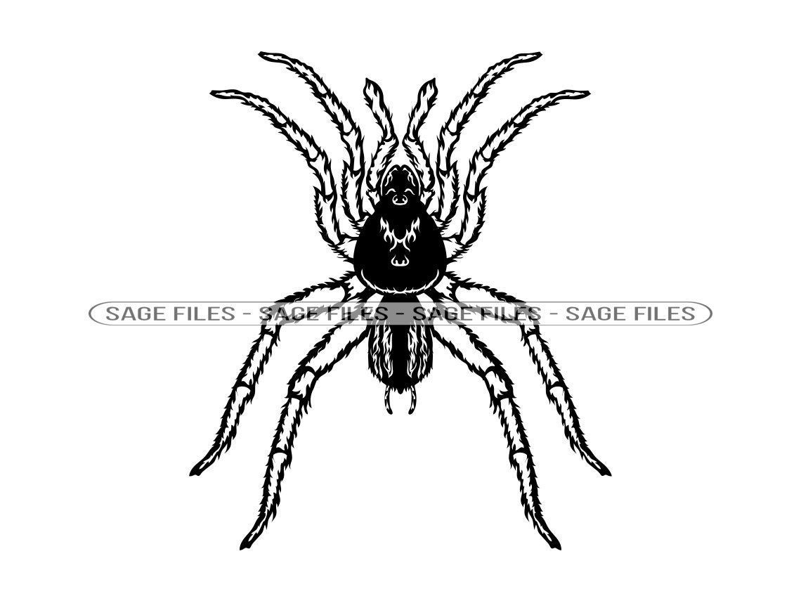 Wallpaper #gfRVOpMBKFX8bn3rWnh360 Spider 10 Svg Spider Svg Spider Logo Svg Spider Clipart Etsy in 2023