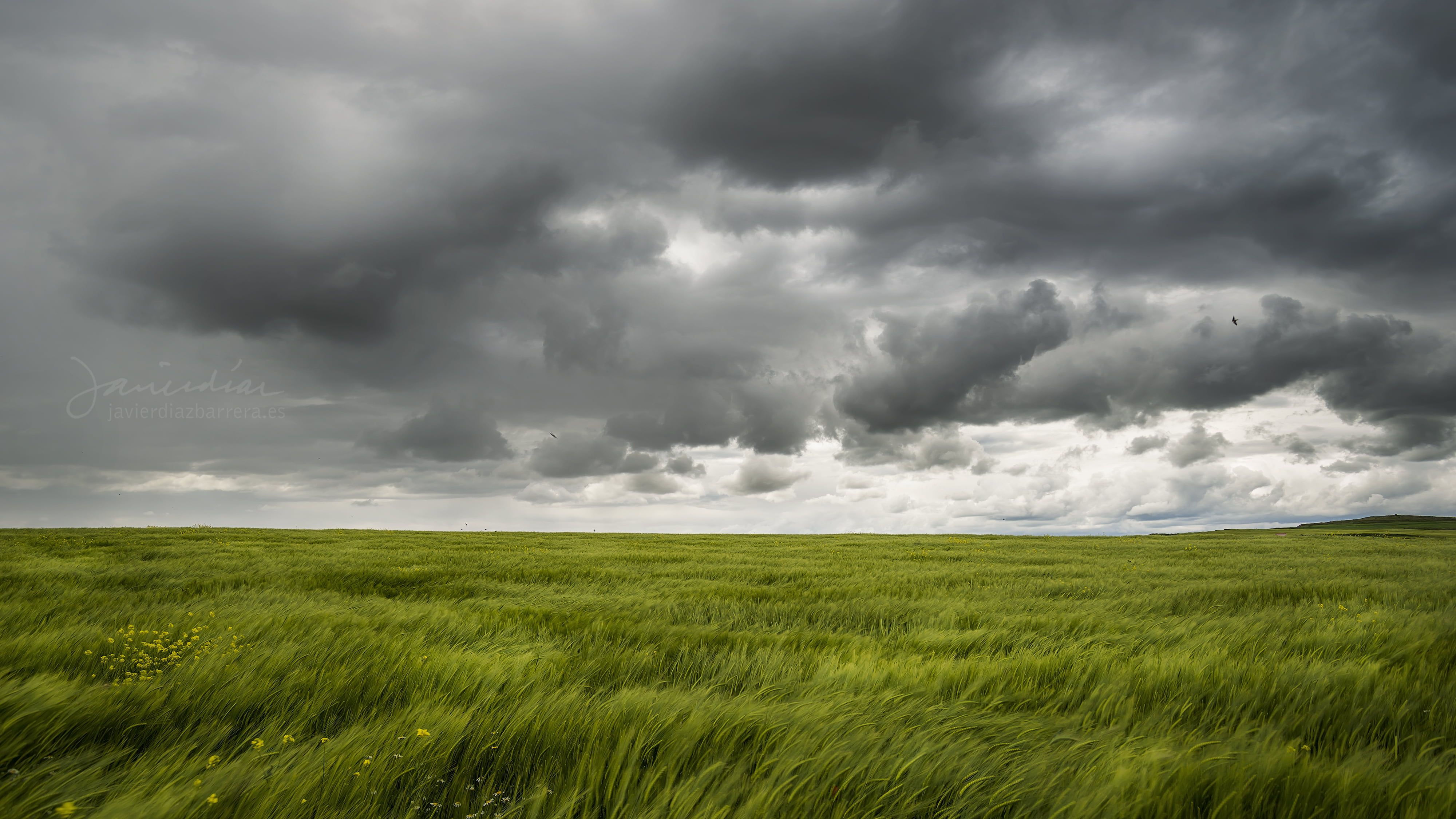 Wallpaper #eh1eLpMBlOZrFDOkP9Oz322 Green Grass Field Under Gray Sky Agua De Mayo Green Grass Grass