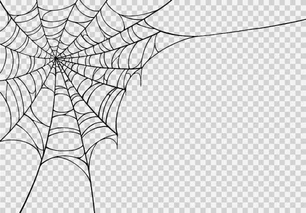 Wallpaper #drj52ZIBJvJKYCmEO--P44 Spider Web Illustrations Royalty Free Vector Graphics Clip Art