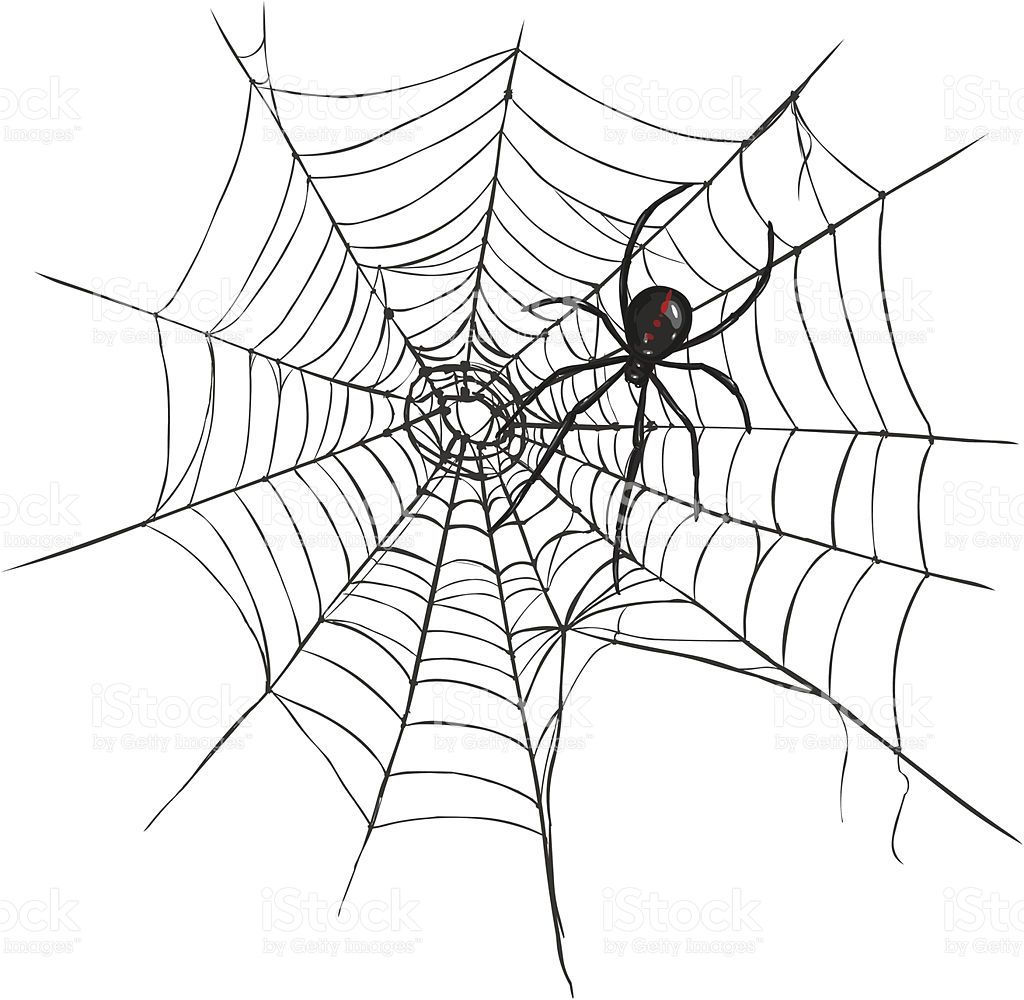 Wallpaper #BBkLE48BtGB6xQ78G2W824 Vector Black Widow Spider on Spiders Web Royalty Free Stock Vector