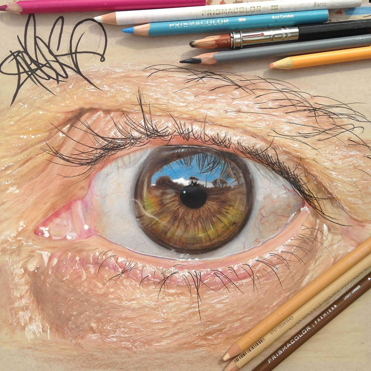Wallpaper #OBqEUJMB1yWOL4qgwYA7208 These Incredible Close Up Photos of Eyes Are Actually Pencil Drawings