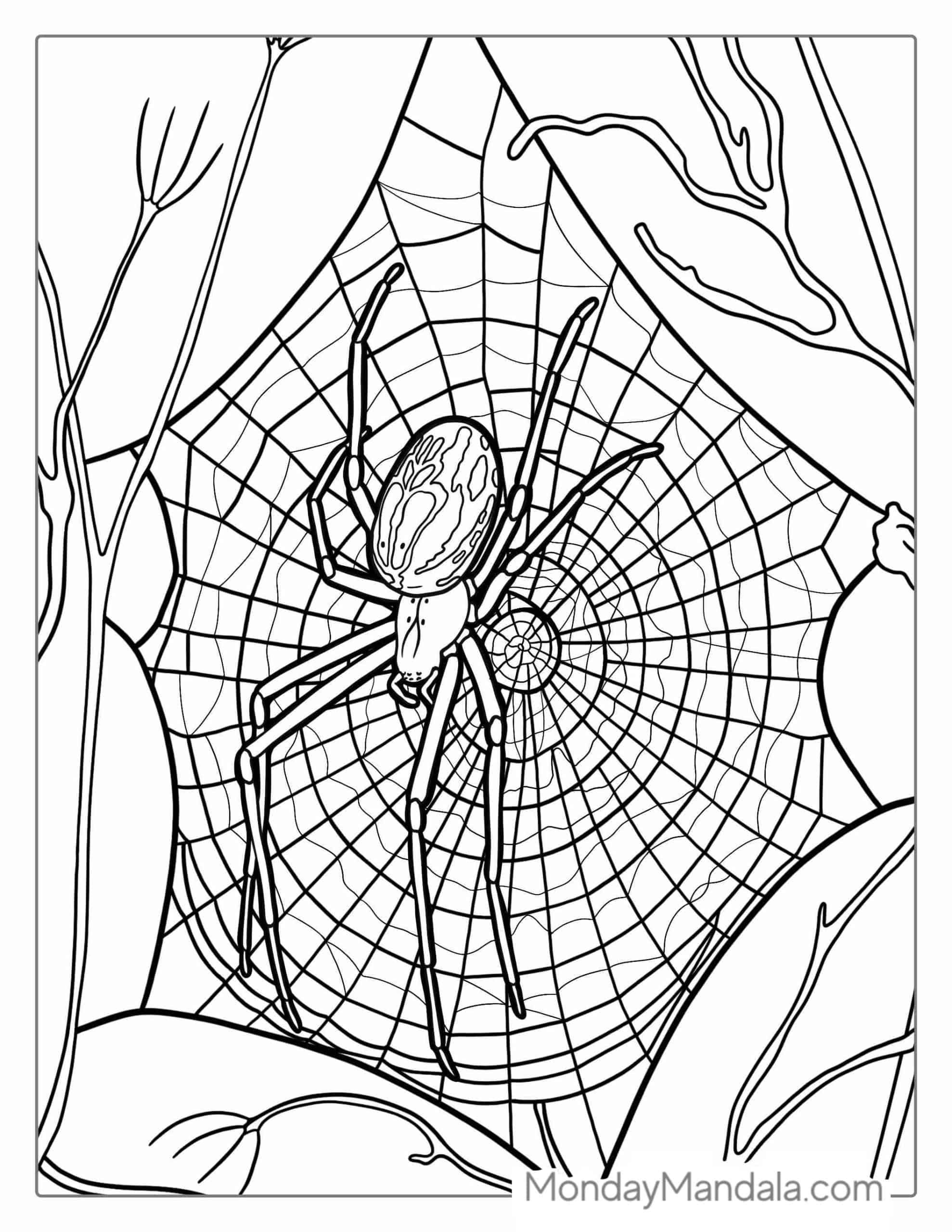 Wallpaper #Gmd6CZMBSpphPi3-WNCd15 28 Spider Coloring Pages Free Pdf Printables Spider Coloring Page