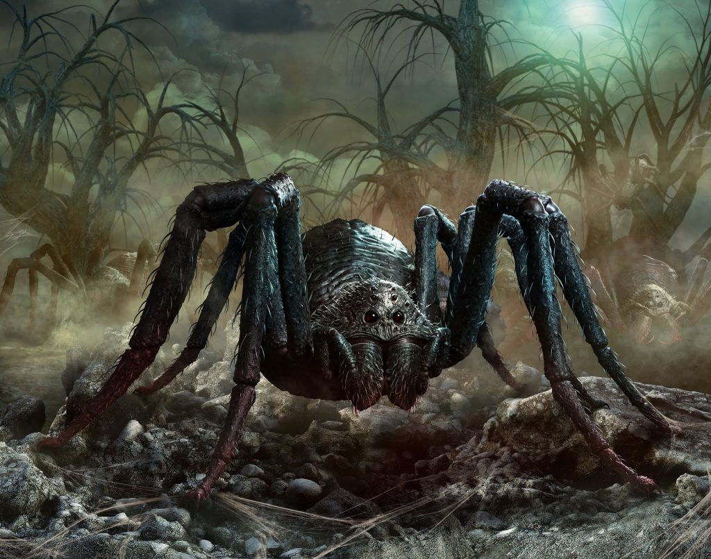 Wallpaper #FRkNE48BtGB6xQ78l2V820 News Spider Art Giant Spider Fantasy Monster