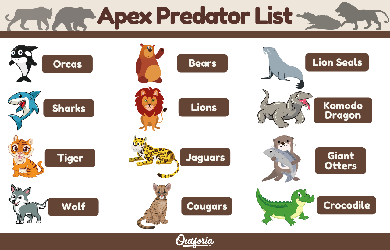 Wallpaper #X0CFL5MBJhL2WPbafb2m361 Apex Predator List Top 12 Predators at the Top of the Food Chain