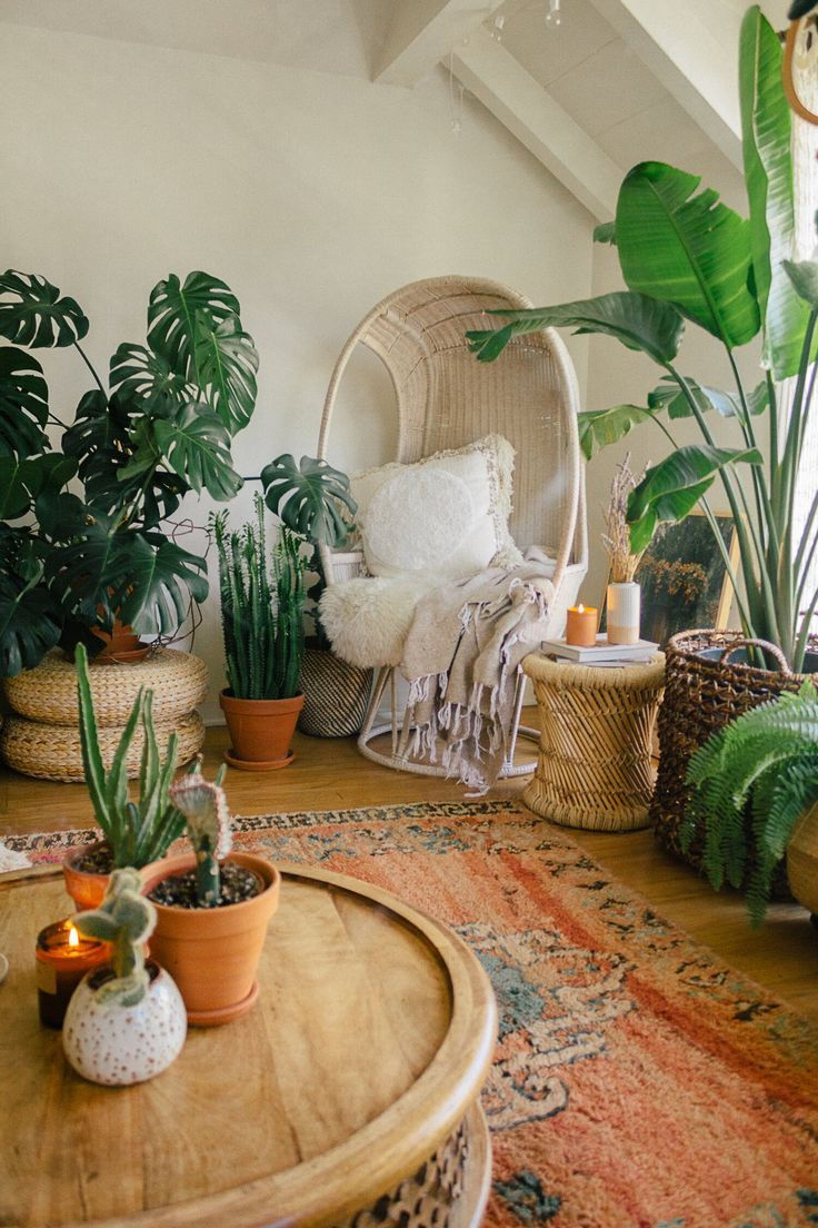 Wallpaper #b5610 30 Pretty House Plants Ideas for Living Room Decoration Living Room