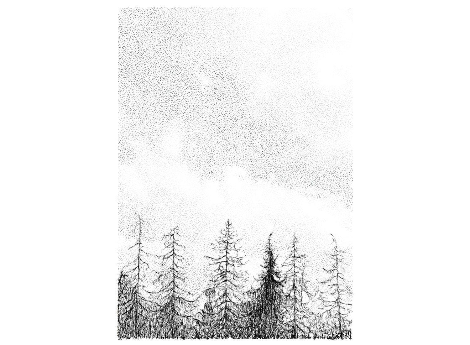 Wallpaper #d2c4EZMBSpphPi3-OPZ1227 Tree Line Art Print by Drawn Together Art Collective Maria Nilsson