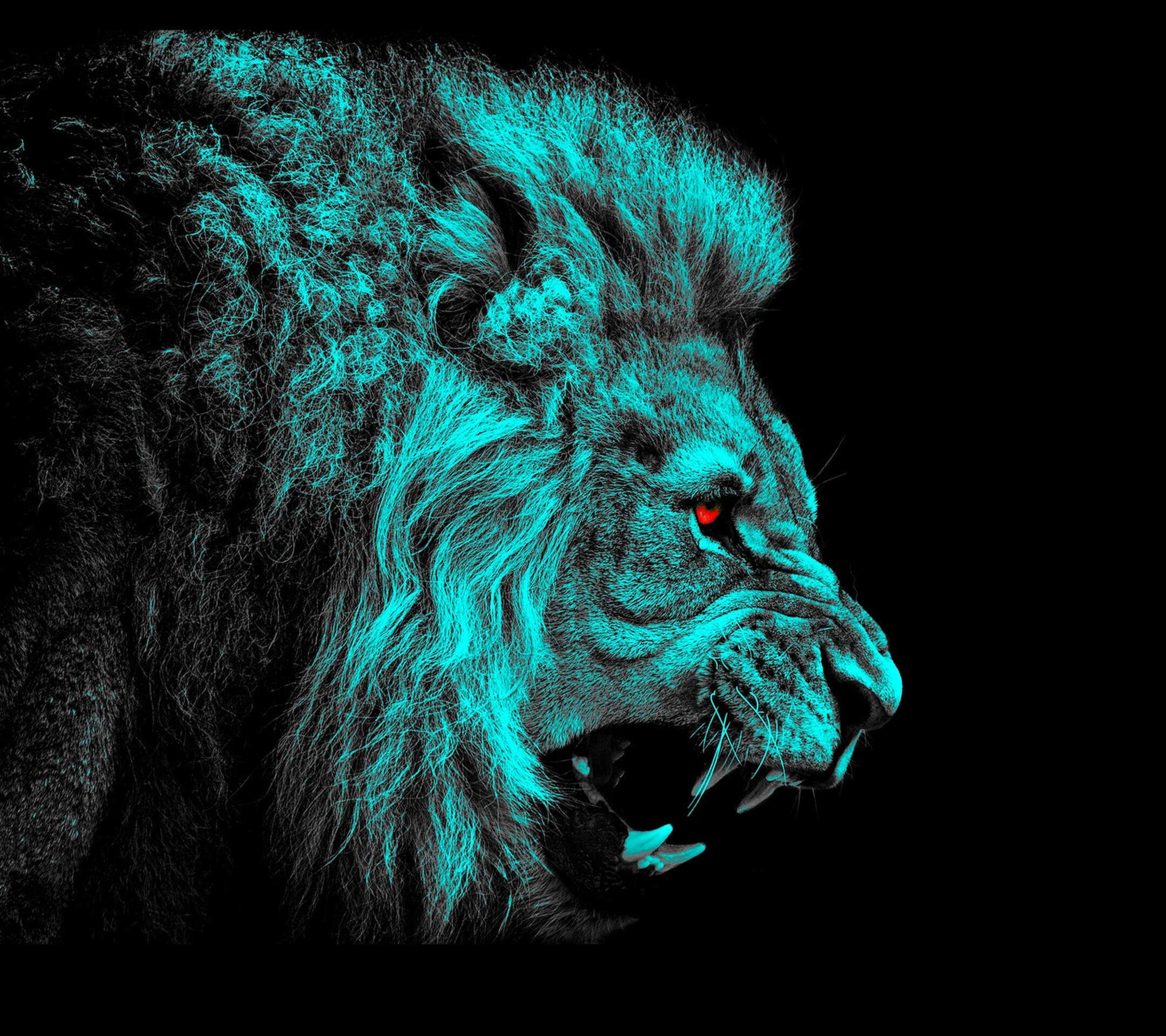 Wallpaper #kn1P8o4Bnwiau_P6DgsH59 HD Desktop Background Lion 903 Lion HD Wallpapers Backgrounds