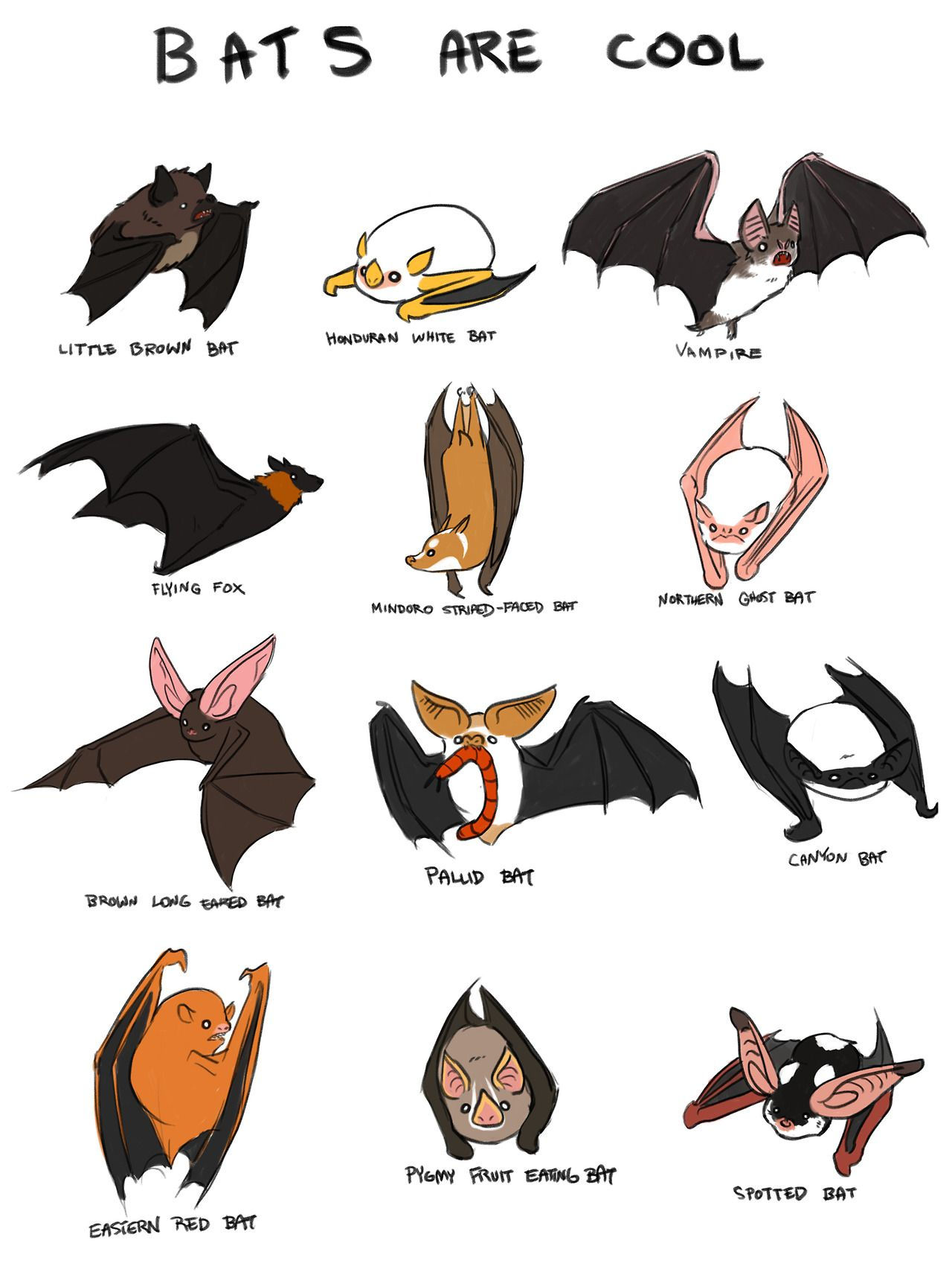 Wallpaper #dfTIOpMBKFX8bn3roXlL295 Indeed Bat Art Cute Creatures Cute Bat