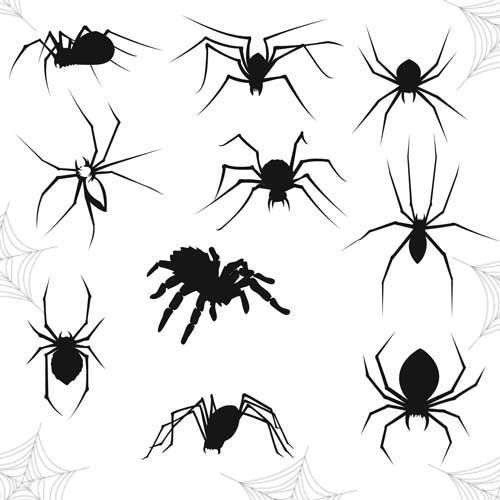 Wallpaper #71bf1 Pin by Kayleigh on Spider Drawings in 2024 Spiderman Drawing