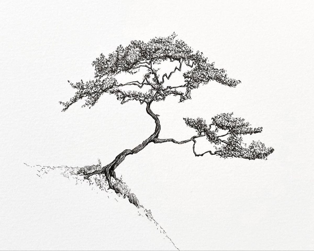 Wallpaper #jWdLE5MBSpphPi3-Rv-o399 Pine Tree Ink Drawing Tree Drawing Tree Tattoo Designs Bonsai Tree