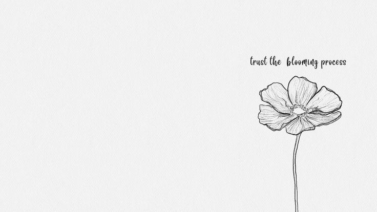 Wallpaper #5rgu2JIBJvJKYCmEzuas299 Minimalist Floral Desktop Wallpaper Trust the Blooming Process