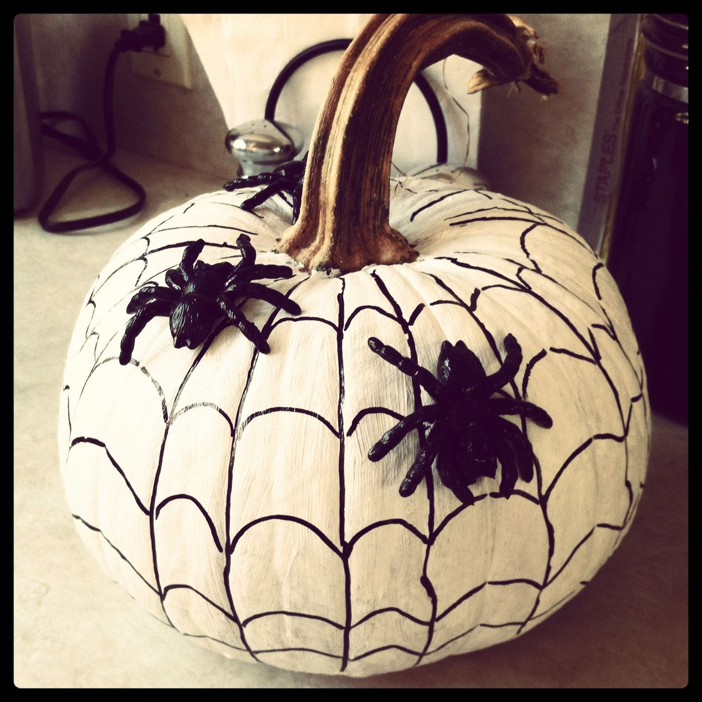 Wallpaper #1vQOOpMBKFX8bn3r-3fK241 Pumpkin I Created Last Halloween Painted White with Sharpie Spiderweb