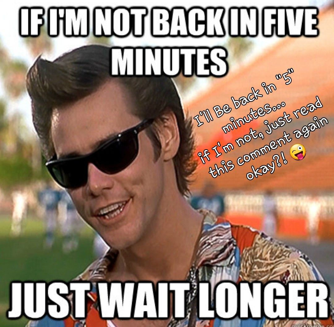 Wallpaper #VmdaCpMBSpphPi3-GtSO289 Ace Ventura Memes Wtf Funny Hilarious Ace Ventura Pet Detective