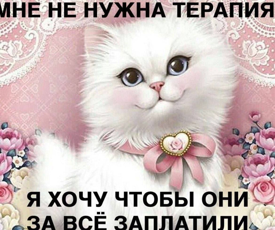 Wallpaper #-Wda9ZIBSpphPi3-4H5k251 Hello Memes Mbti Character Funny Mems Mental Health Problems Silly