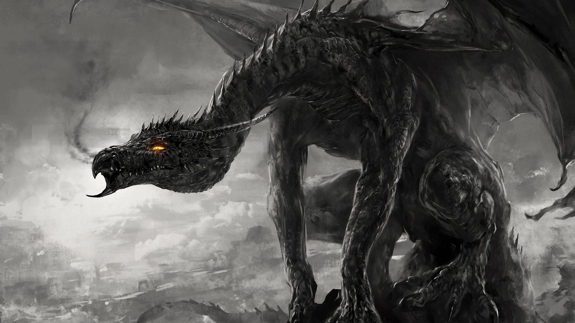 Wallpaper #63d65 Dragon HD Wallpapers 77 Images