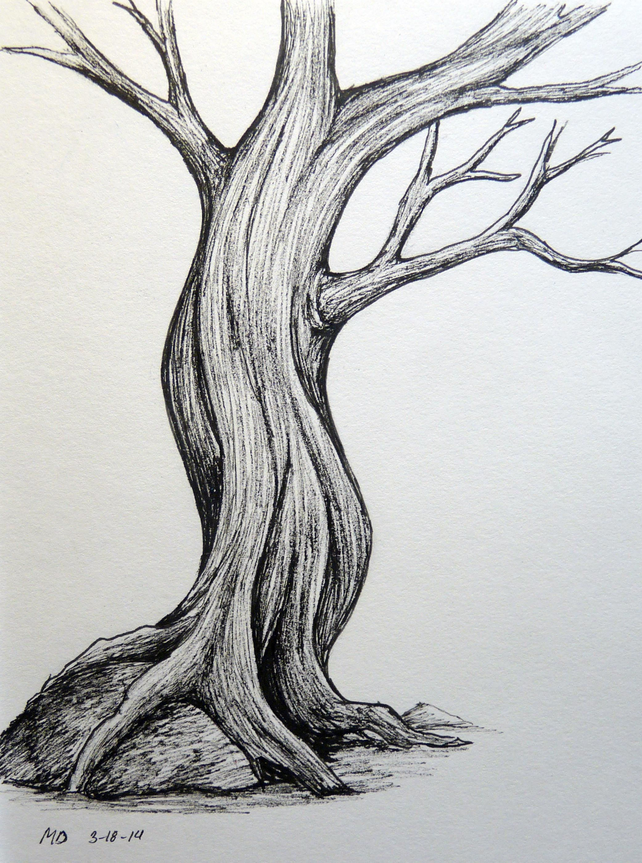 Wallpaper #BWgvFZMBSpphPi3-Zwec13 Wolfephotographyus Tree Drawings Pencil Art Drawings Simple Tree