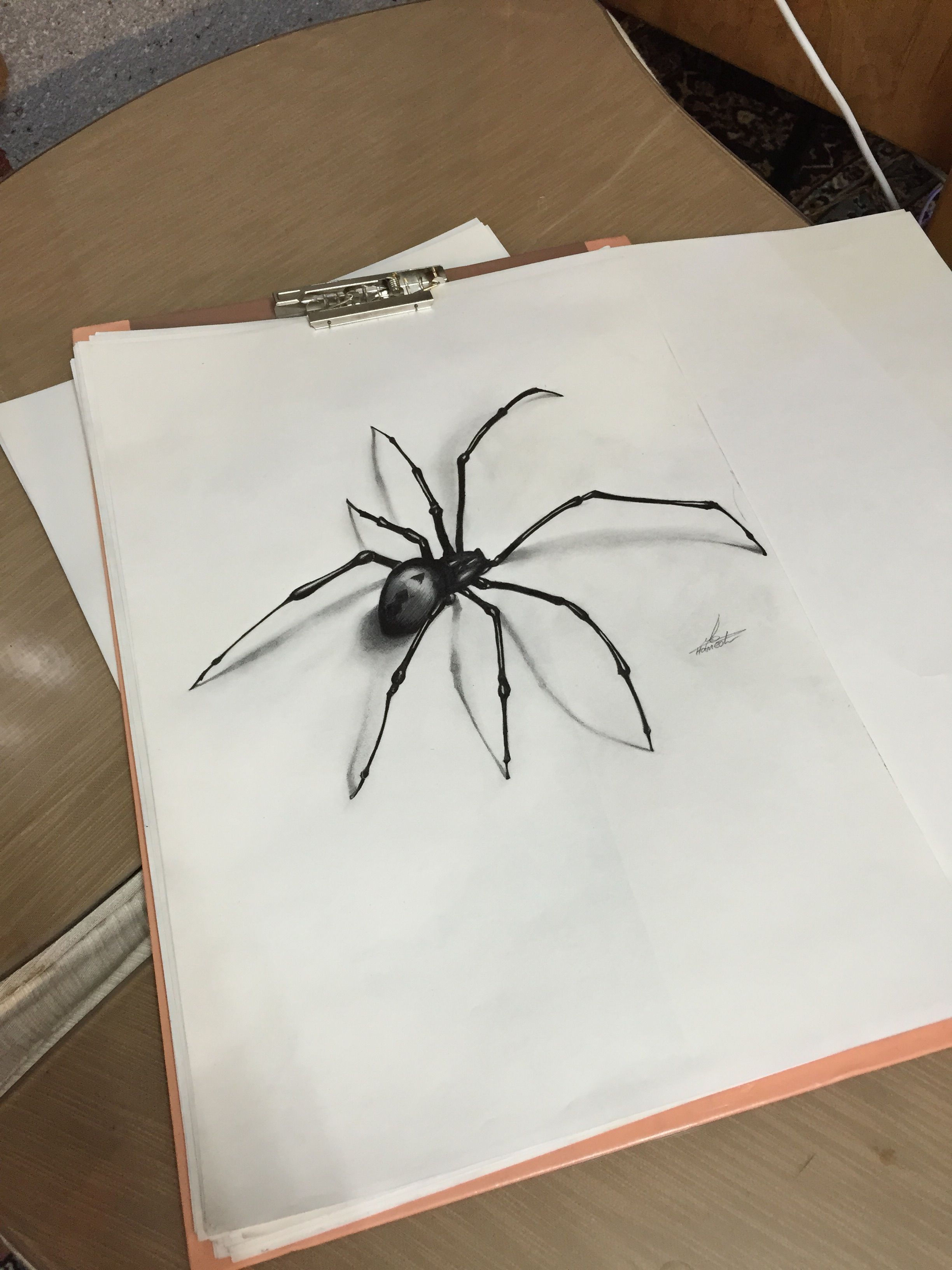 Wallpaper #ZPTDOZMBKFX8bn3rg3ez204 3D Draw Spider Spider Art Spider Drawing Spider Tattoo