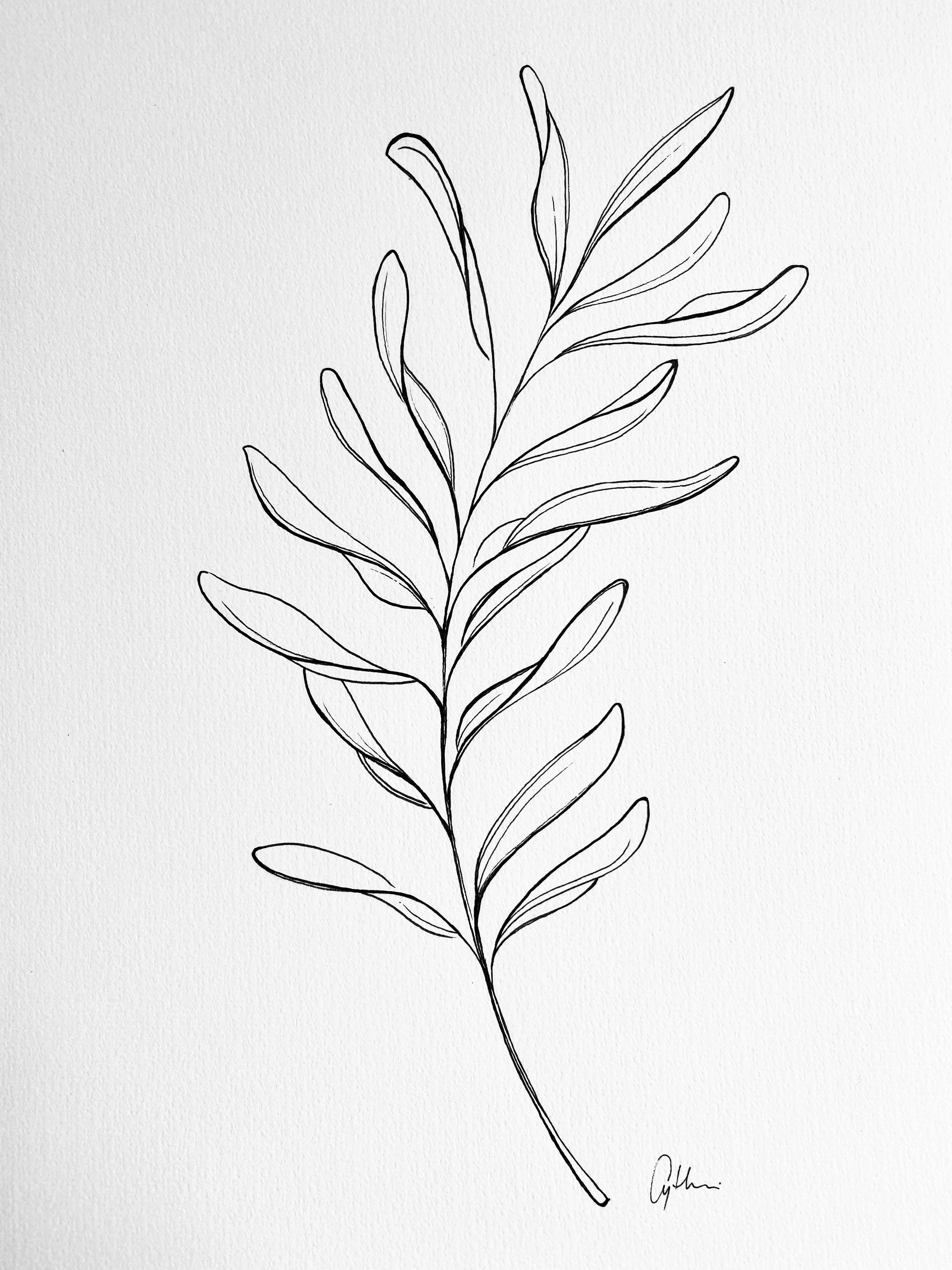 Wallpaper #aWdbBJMBSpphPi3--bfl358 Minimal Wild Flower Botanical Line Art Abstract Leaves Drawing