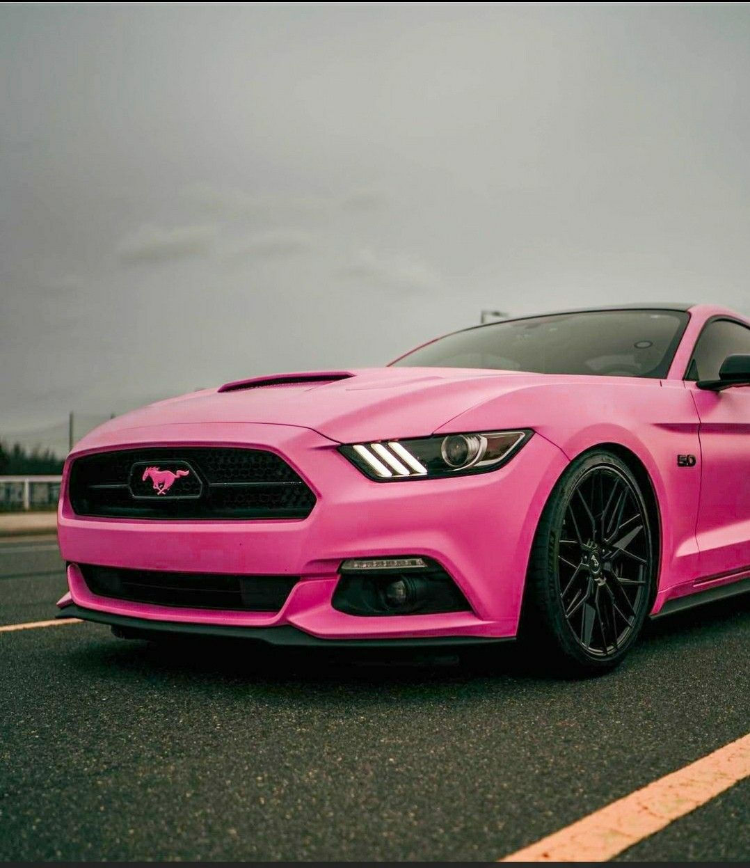 Wallpaper #41D04 Modified and Customized Pink Ford Mustang Stock Photo Alamy