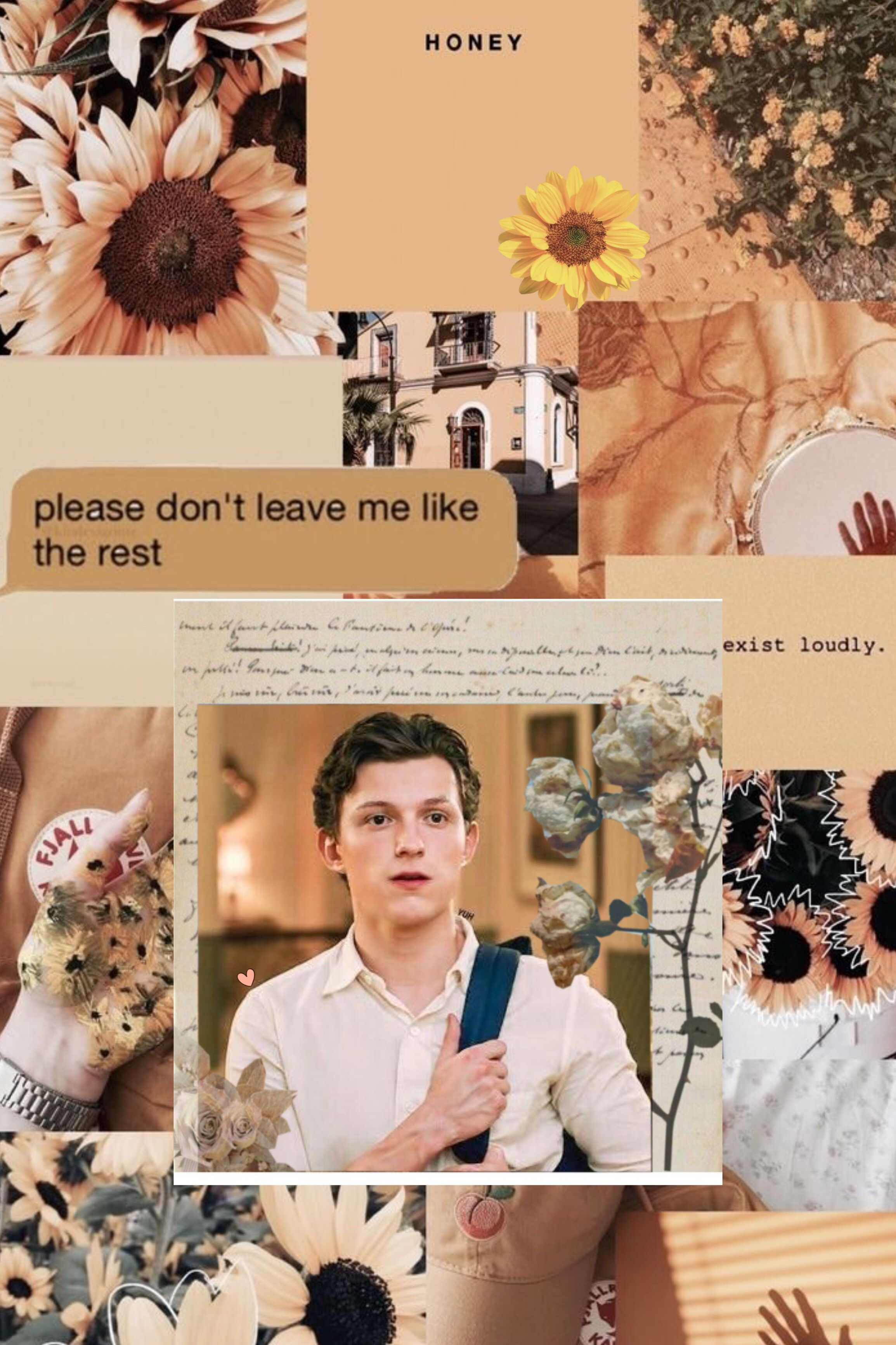 Wallpaper #3A2F5 Tom Holland Aesthetic Pfp Its Where Your Interests Connect You with