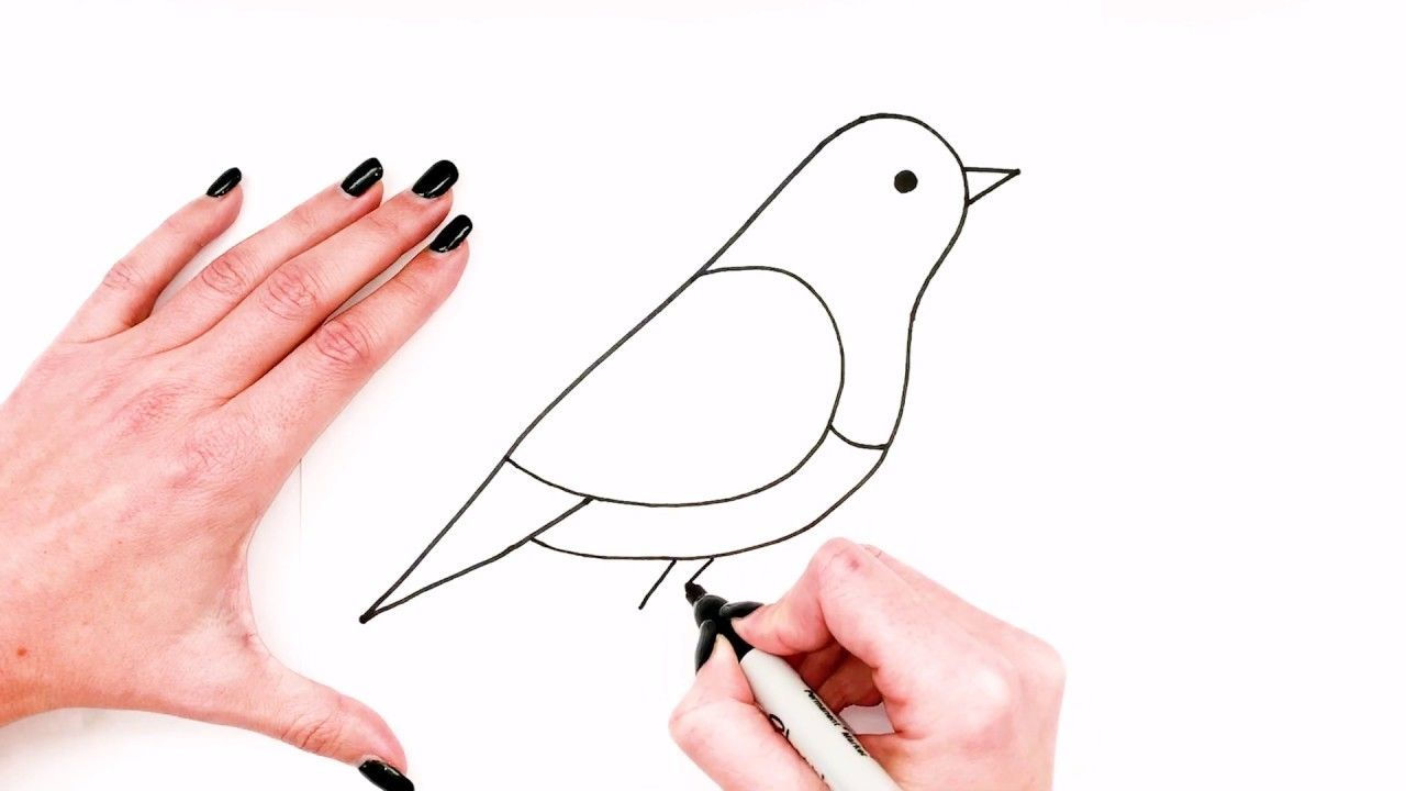 Wallpaper #Dbiz25IBJvJKYCmE9fje393 Easy Way to Draw a Bird Unlocking Drawing Skills