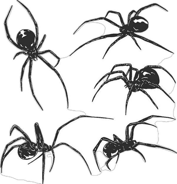 Wallpaper #71bf1 Pin by Kayleigh on Spider Drawings in 2024 Spiderman Drawing