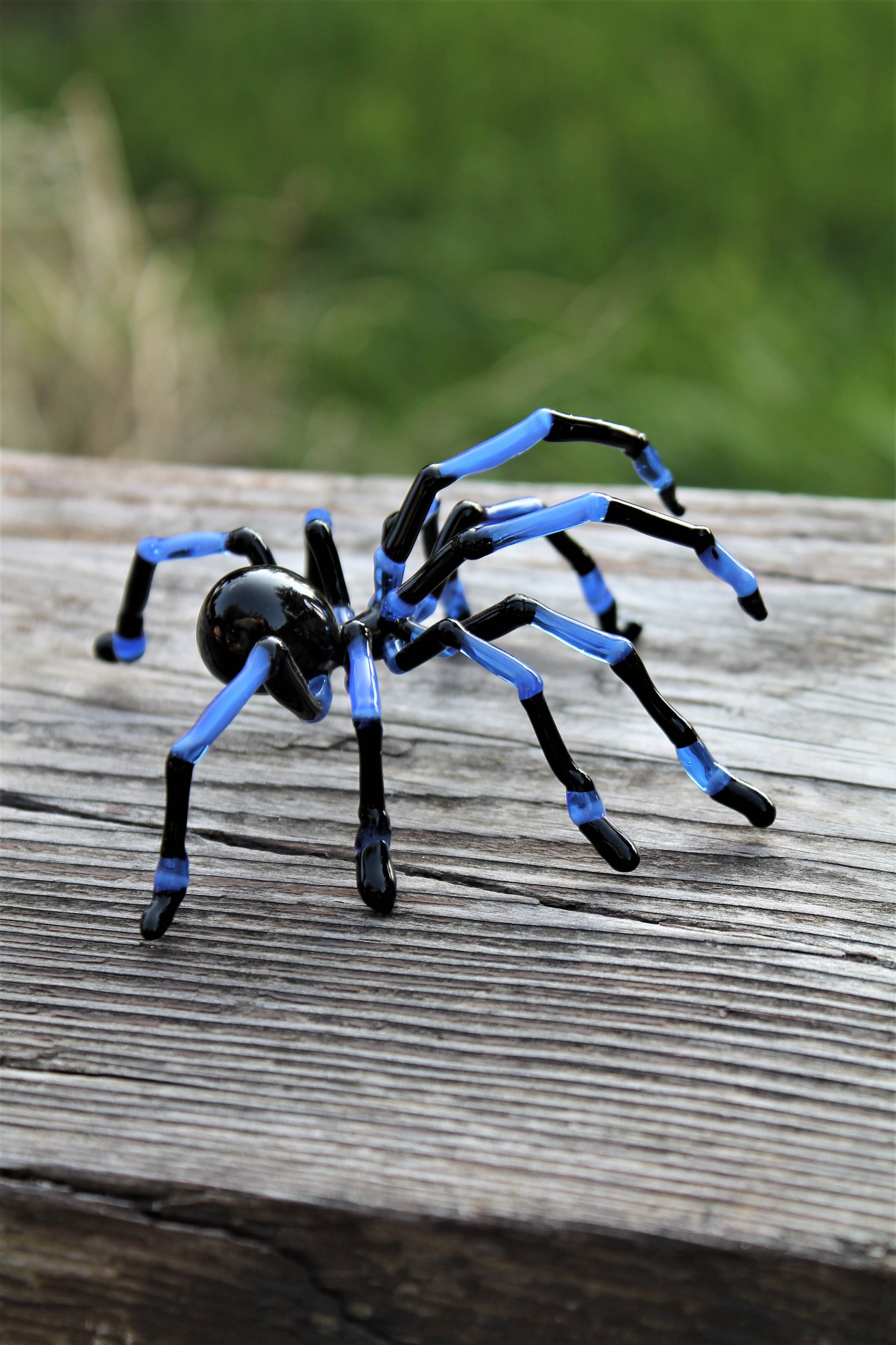 Wallpaper #H_SpOZMBKFX8bn3rSXeg287 Helloween Glass Spider Miniature by Glass Symphony Glass Blowing