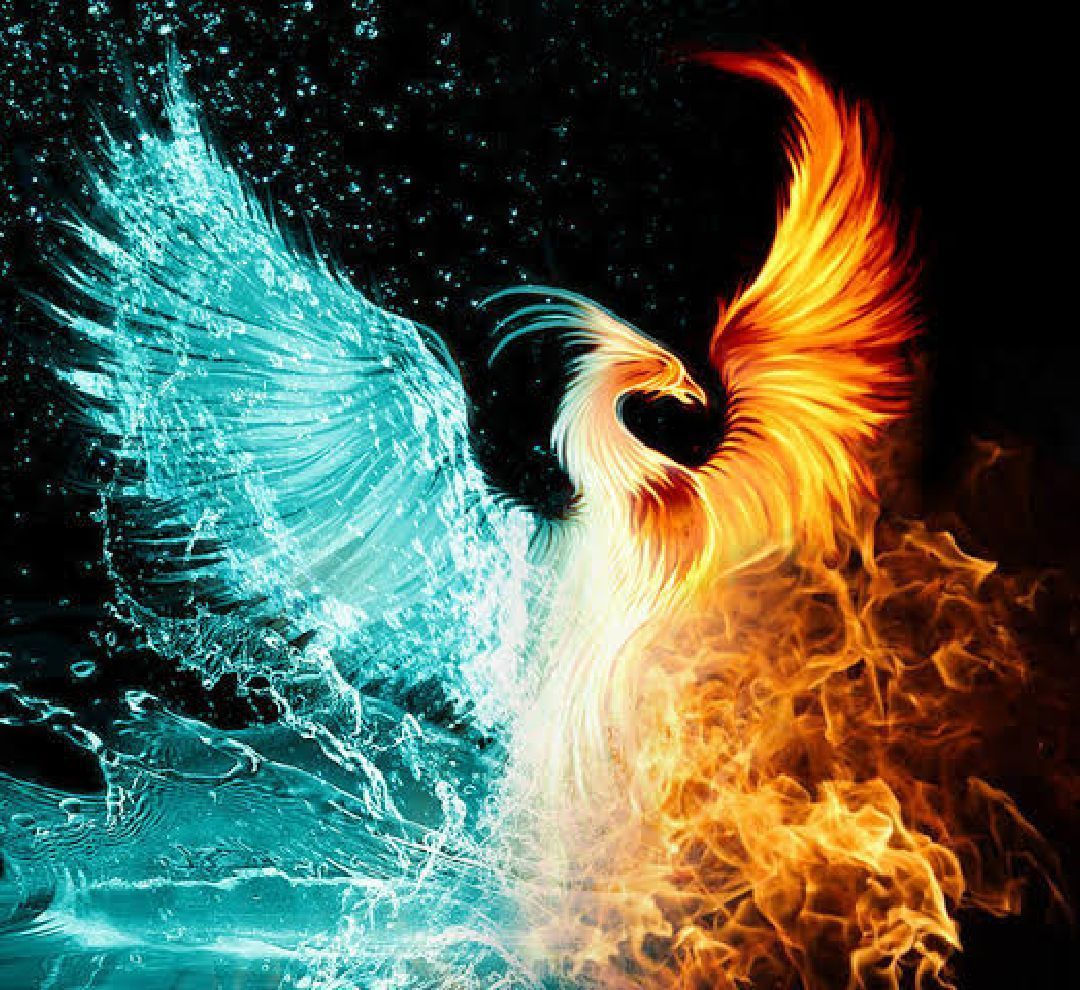 Wallpaper #2bc96 Image of a Majestic White Fire Phoenix on Craiyon