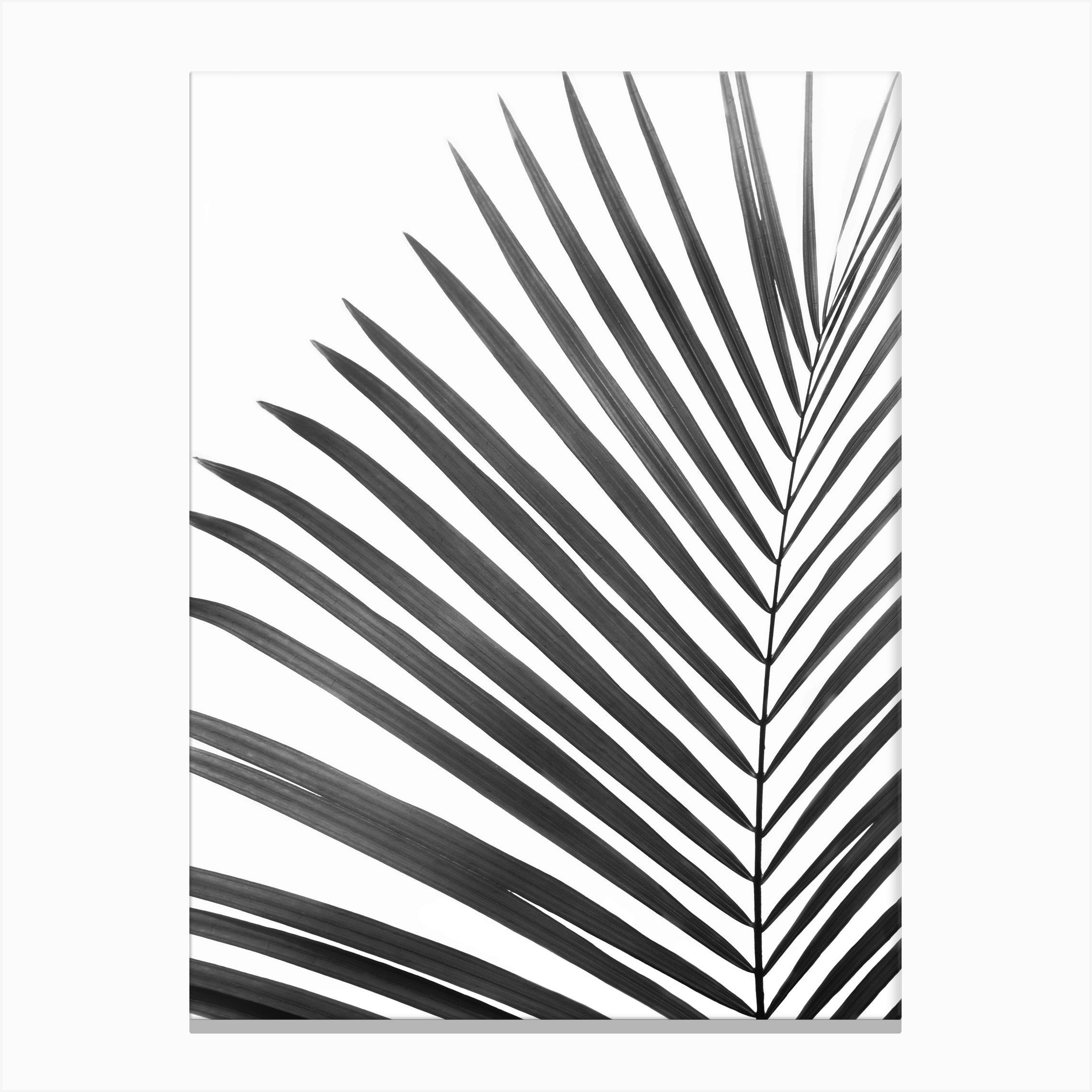 Wallpaper #W2g2IpMBSpphPi3-mTKk361 Easy Canvas Art Simple Canvas Paintings Cool Paintings Diy Canvas