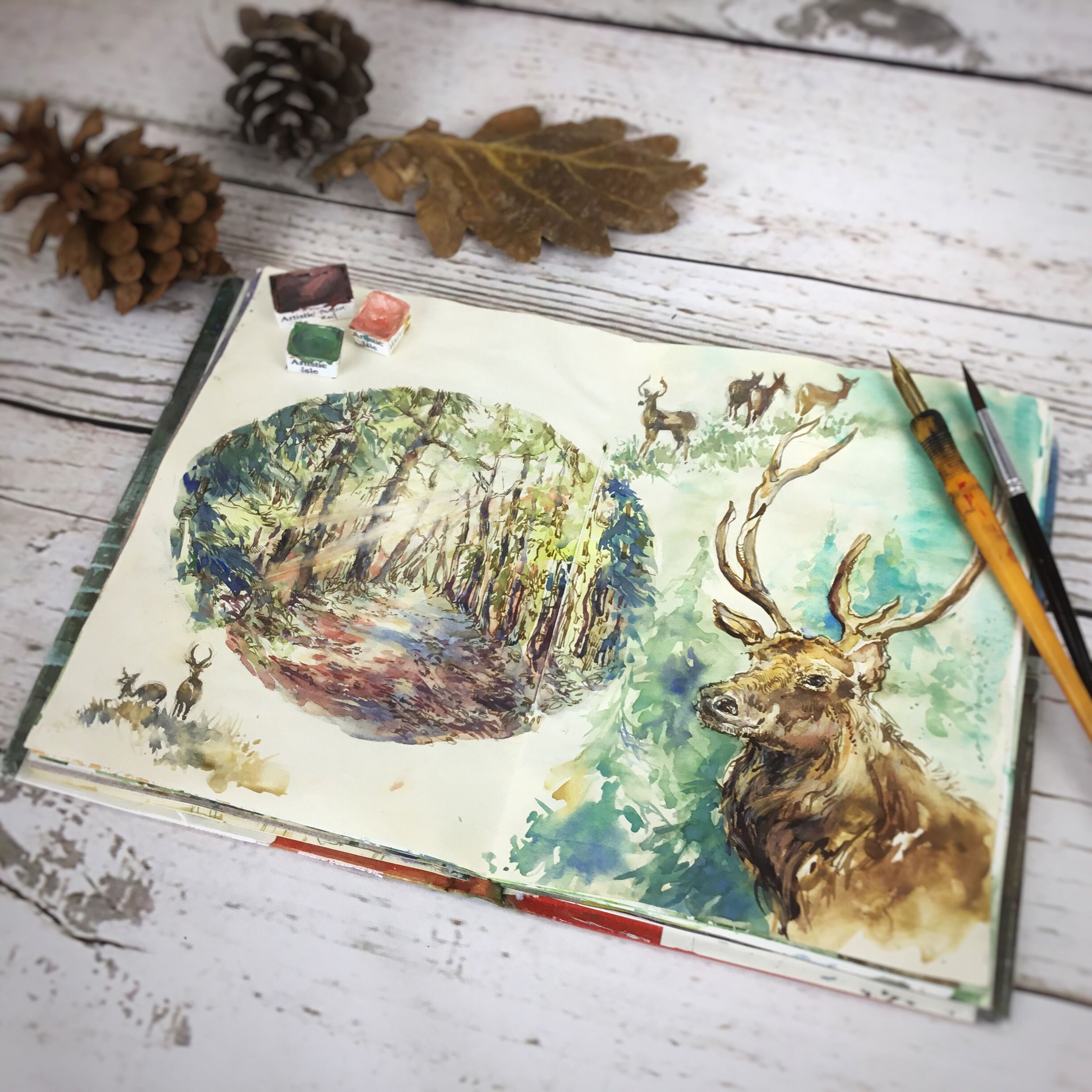 Wallpaper #lGcDC5MBSpphPi3-T9ct298 Forest Scene Art Journal Art Journal Inspiration Sketch Book