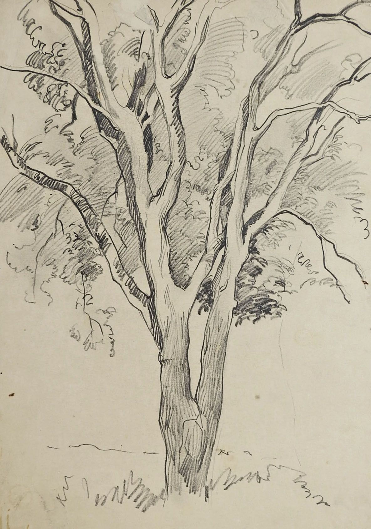 Wallpaper #BWgvFZMBSpphPi3-Zwec7 Tree Pencil Study Drawing by George Baer Tree Drawings Pencil Tree