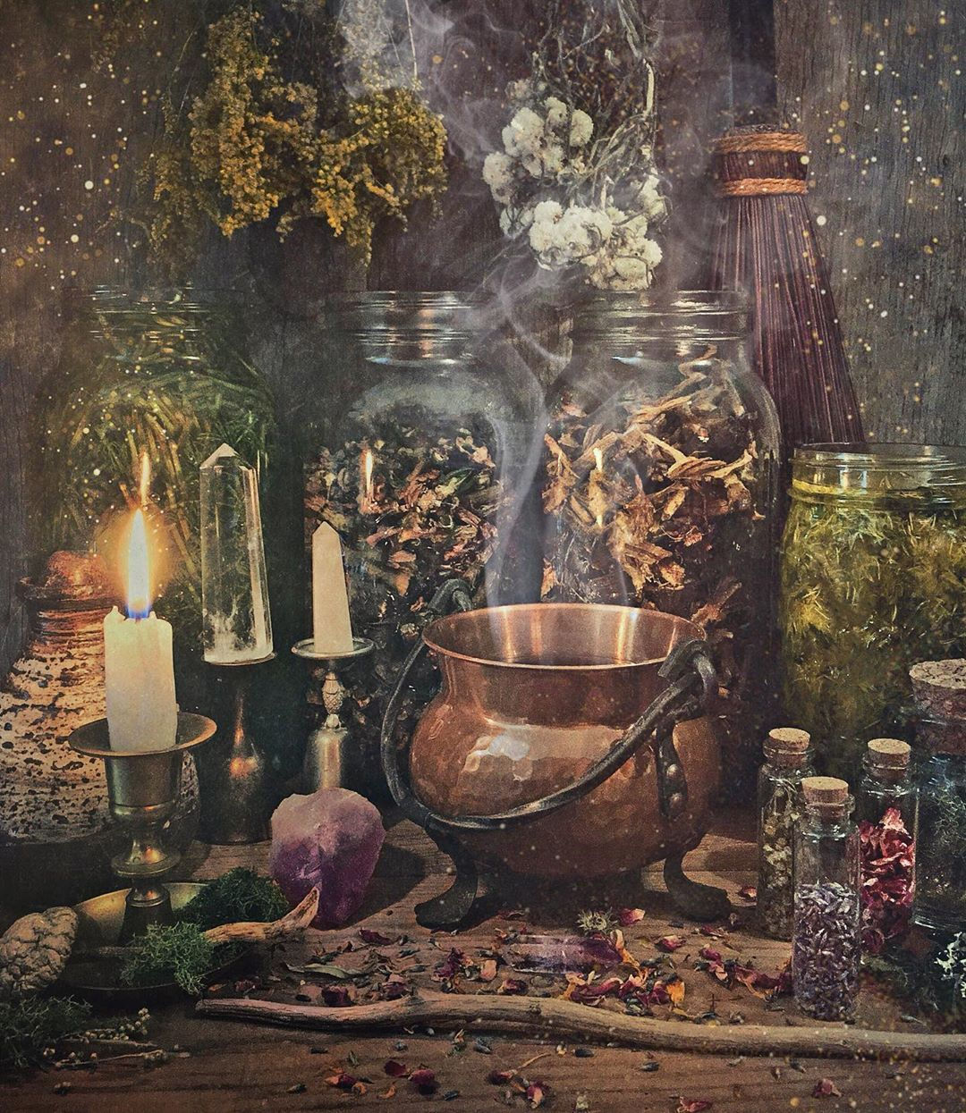 Wallpaper #7GfOA5MBSpphPi3-UbSW79 Connecting with Plant Energies as a Green Witch I Work with Herbs